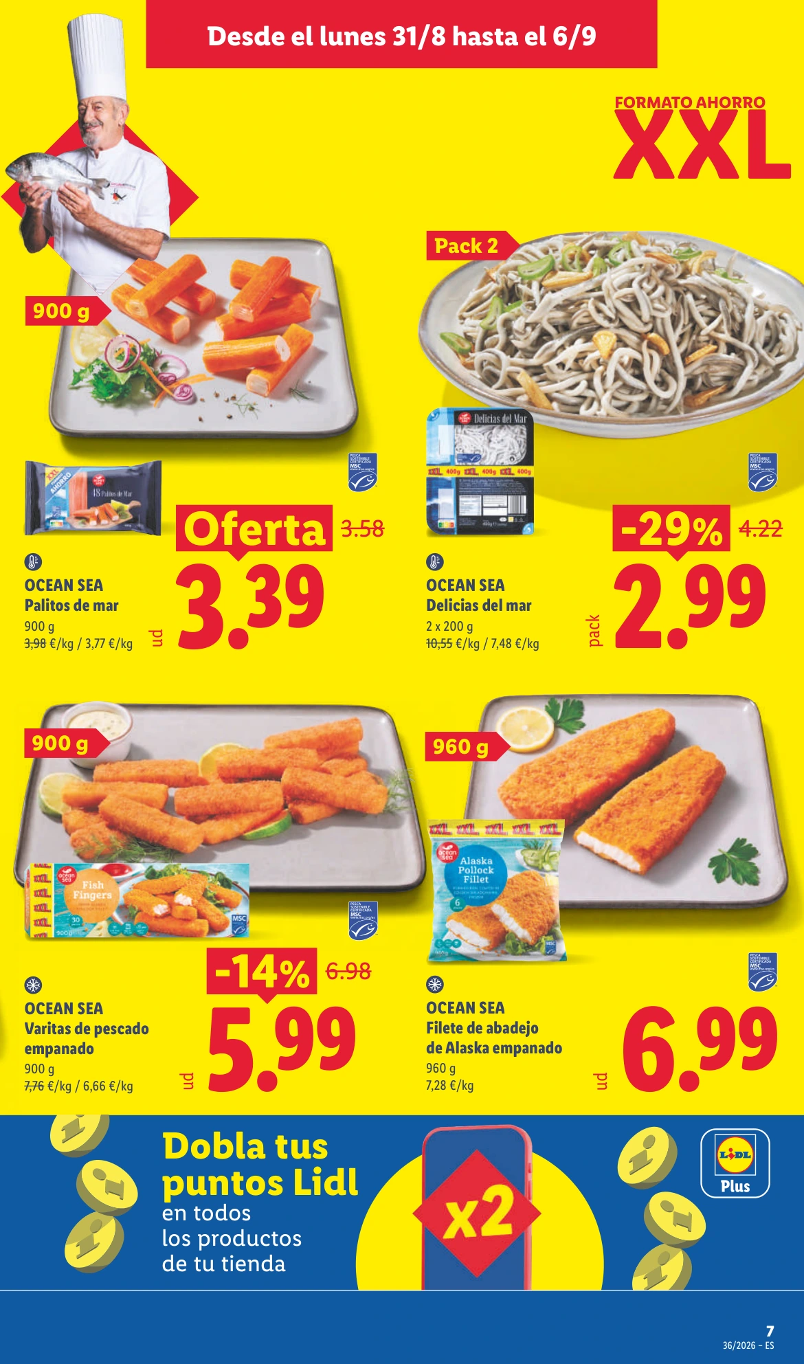 Flyer page 7