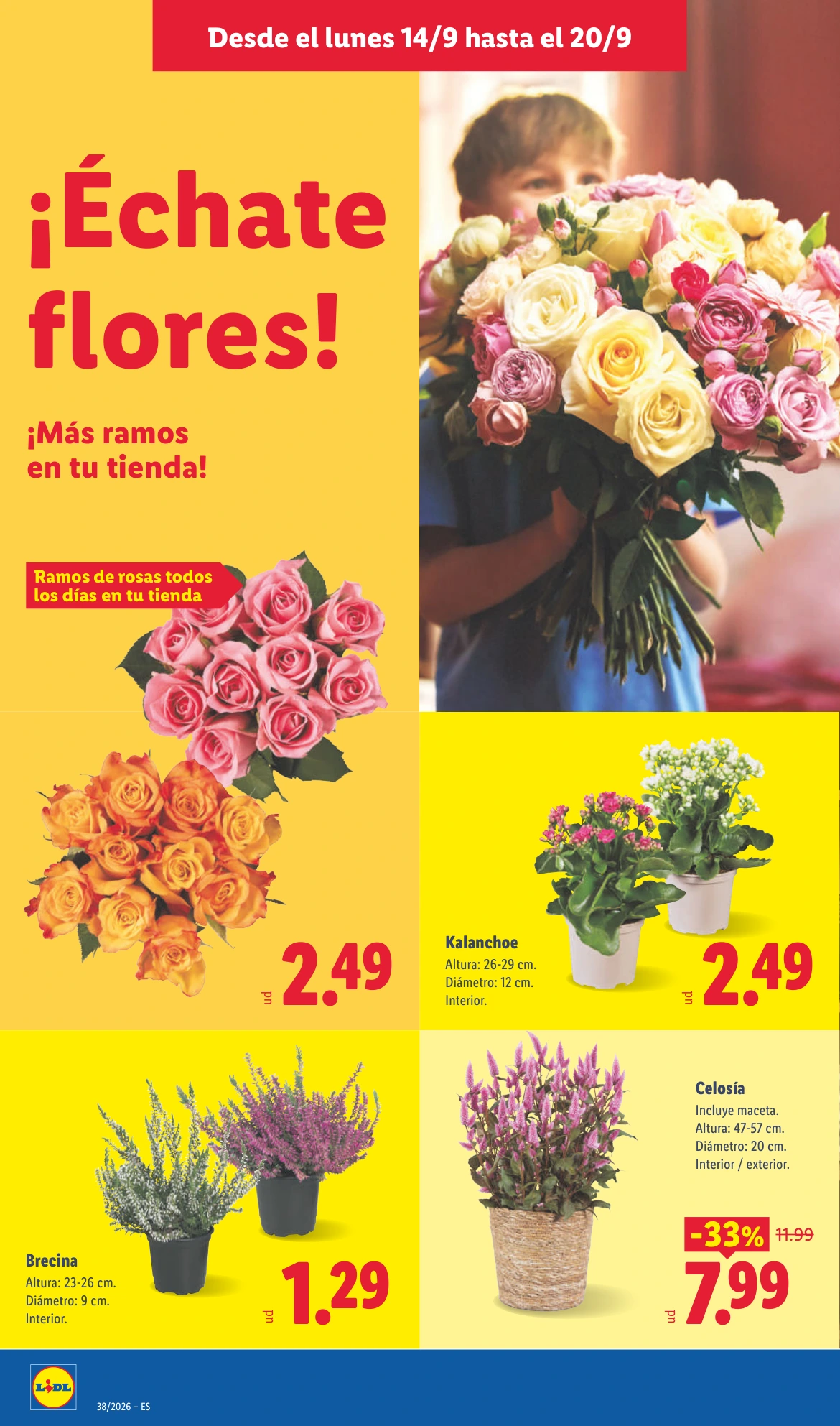 Flyer page 48