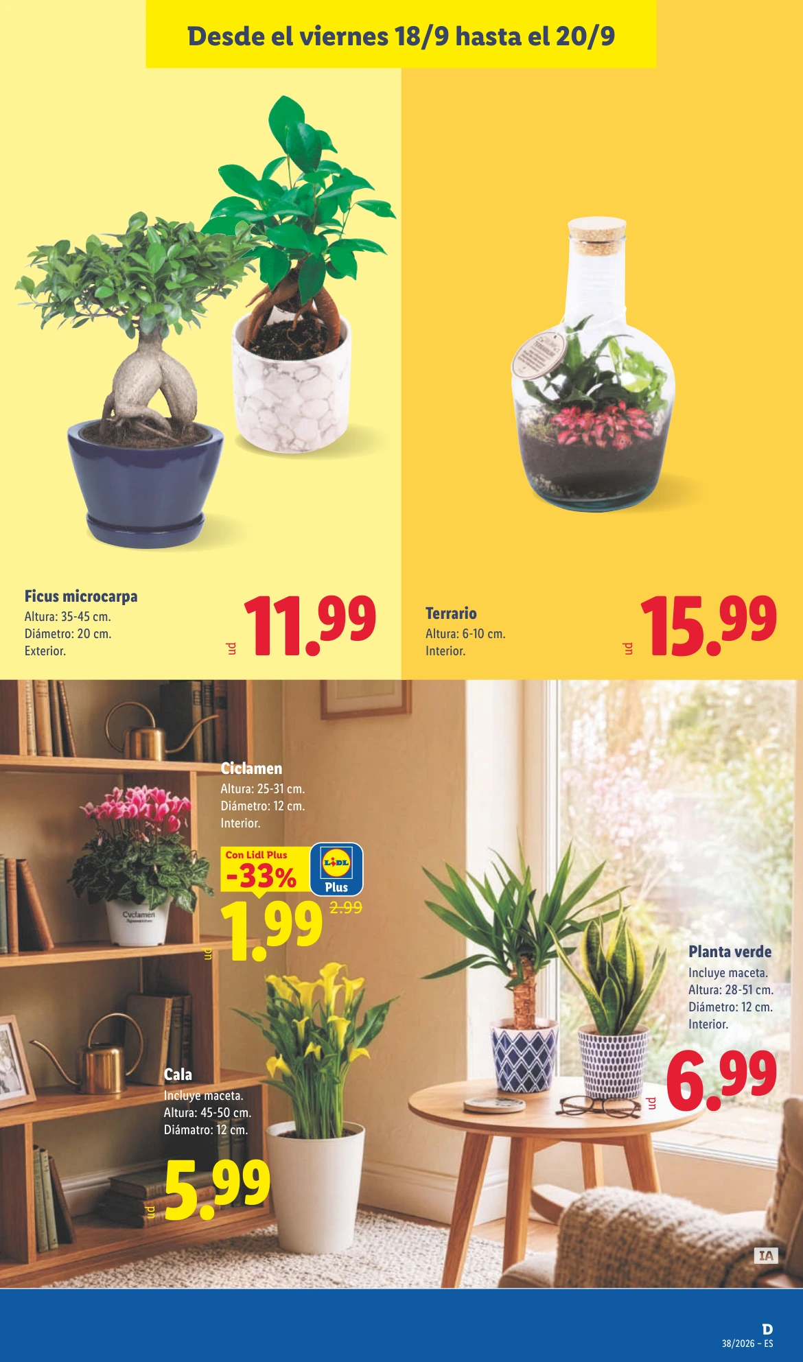 Flyer page 49