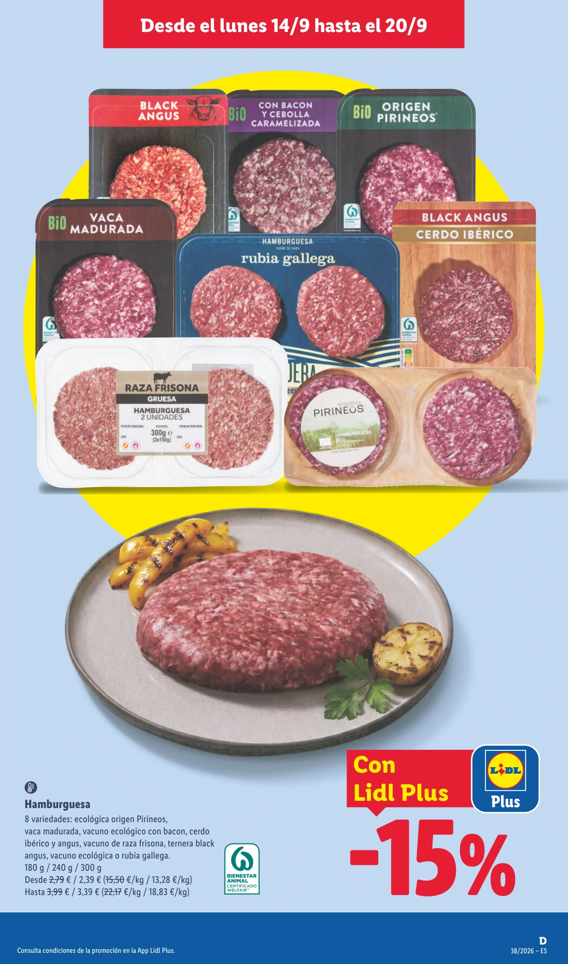 Flyer page 9