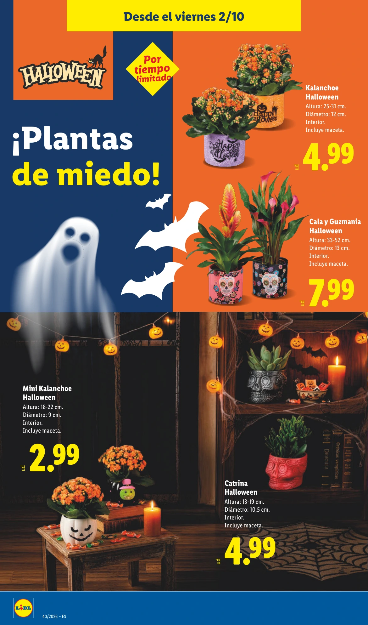 Flyer page 14