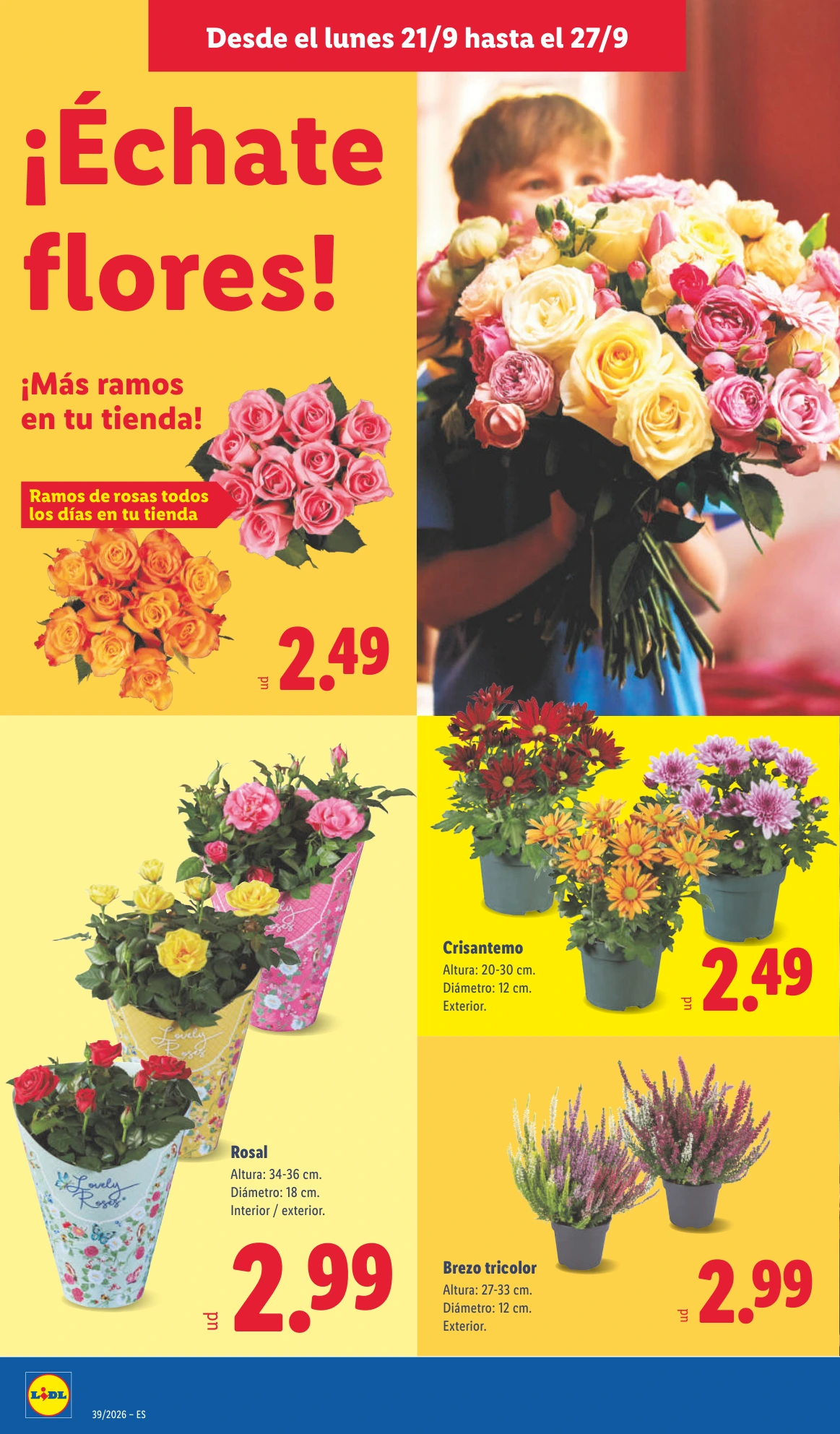 Flyer page 48