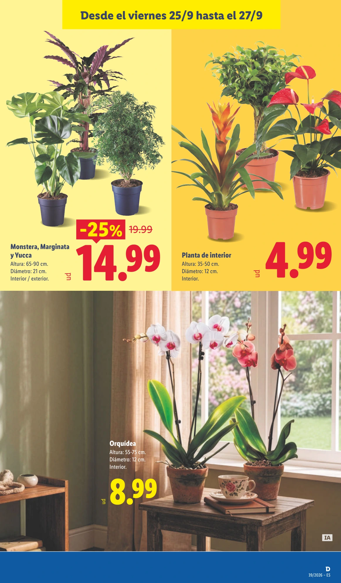 Flyer page 49