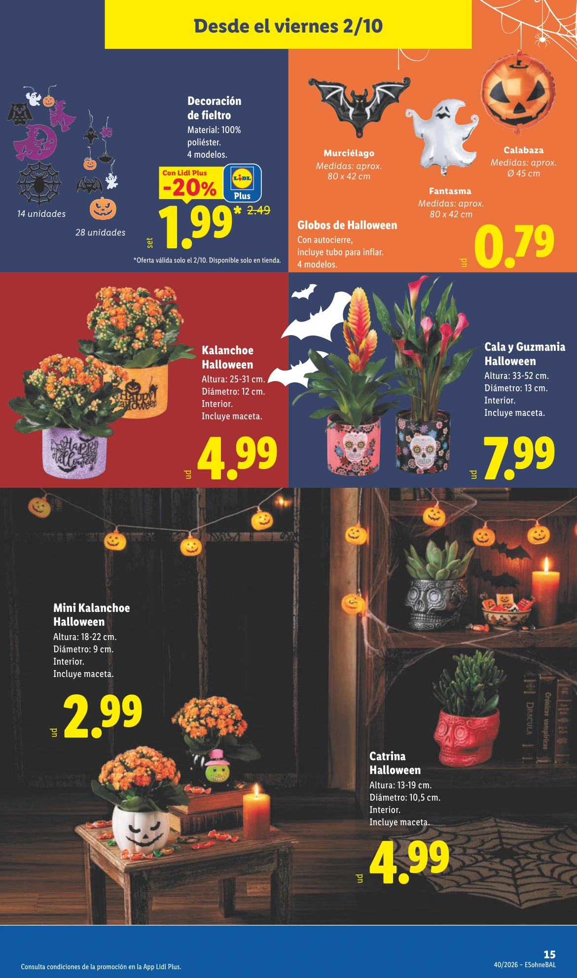 Flyer page 29