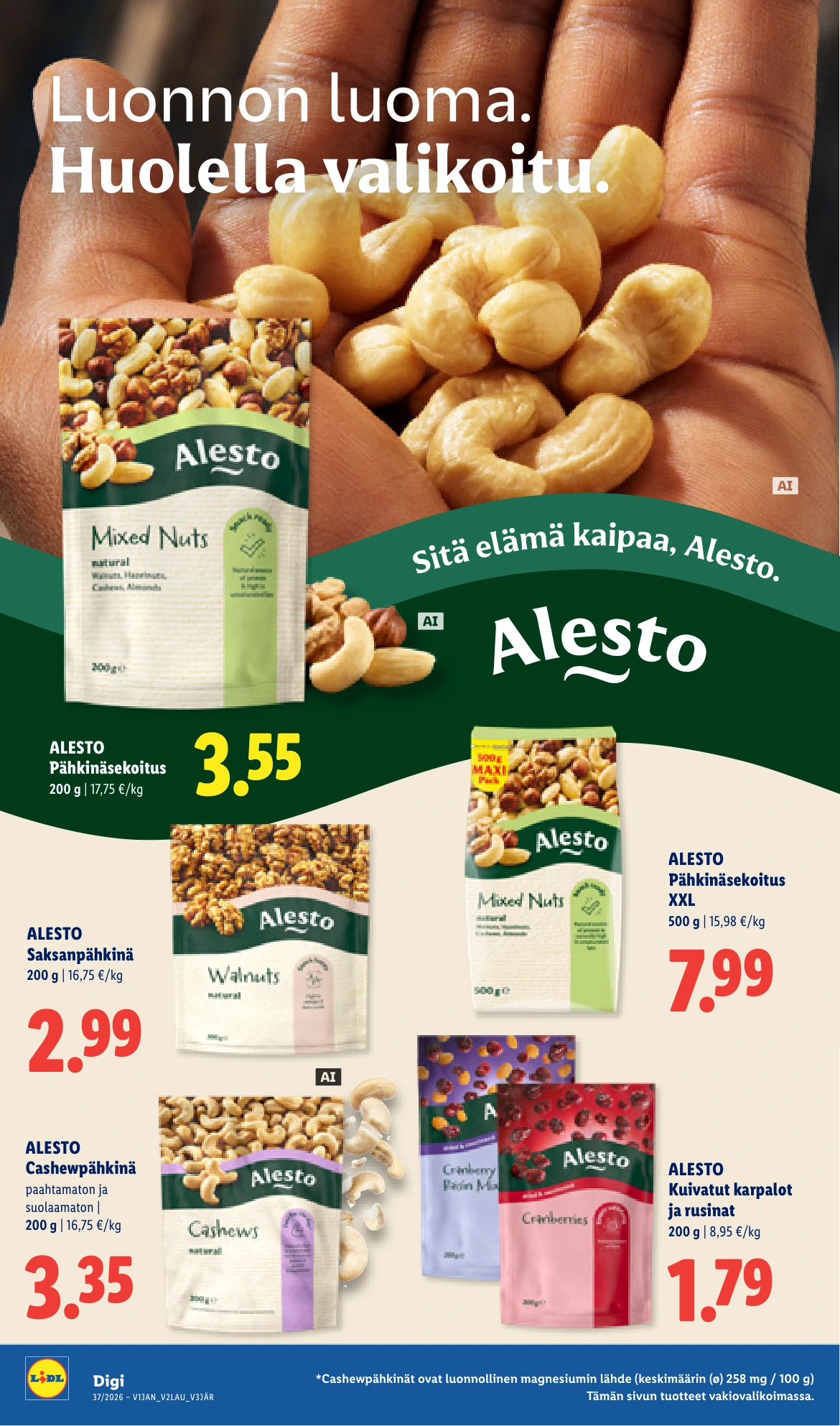 Flyer page 11