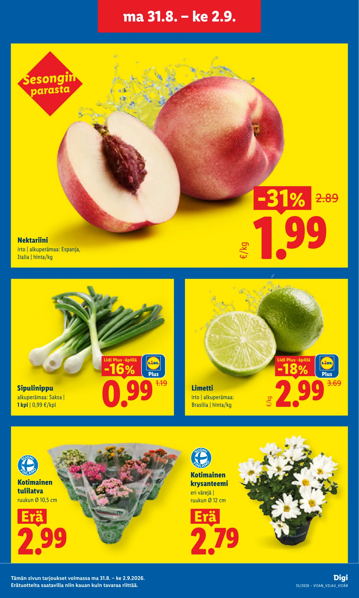 Flyer page 3