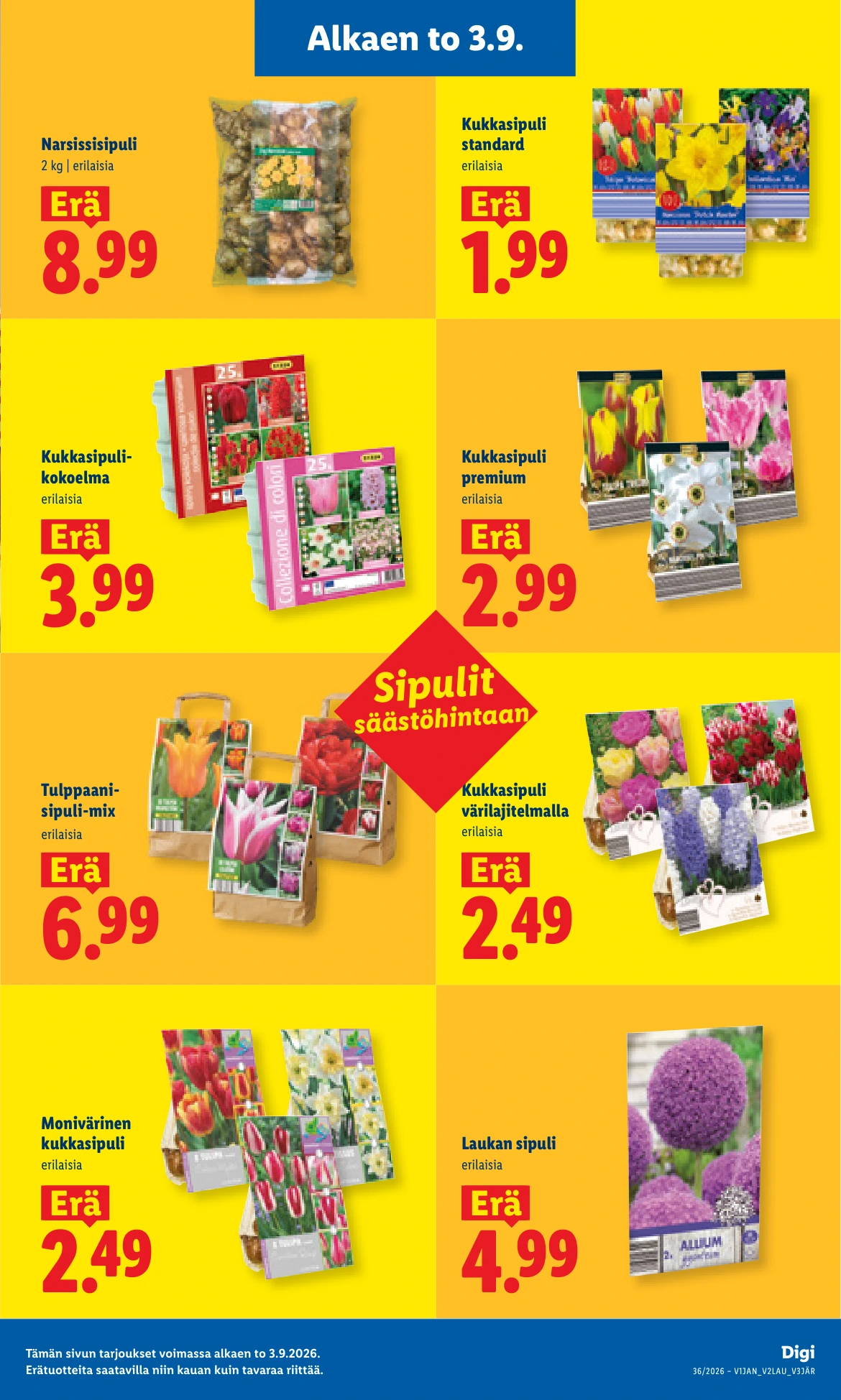 Flyer page 25