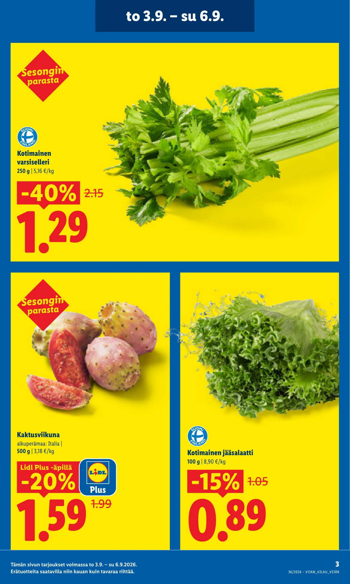 Flyer page 3