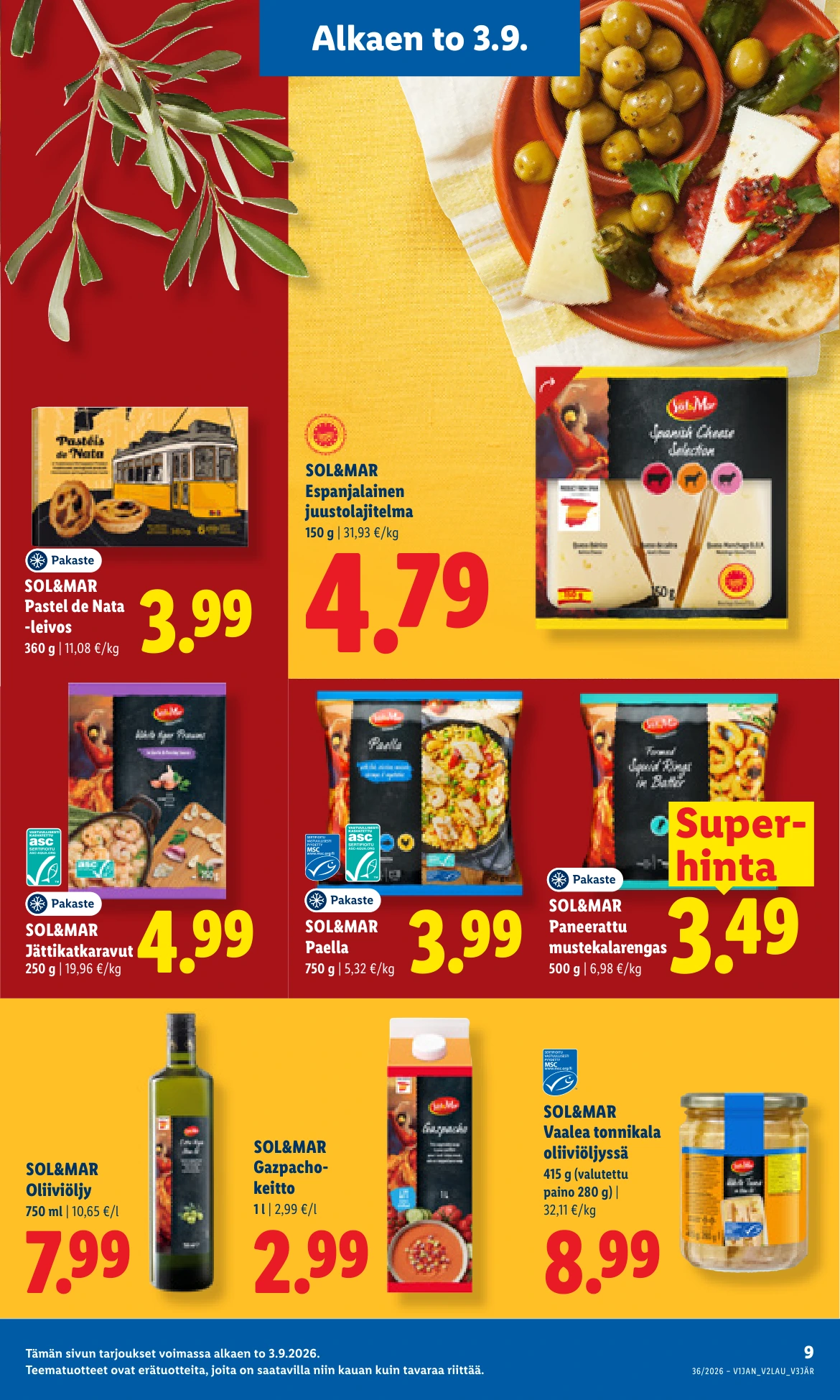 Flyer page 9