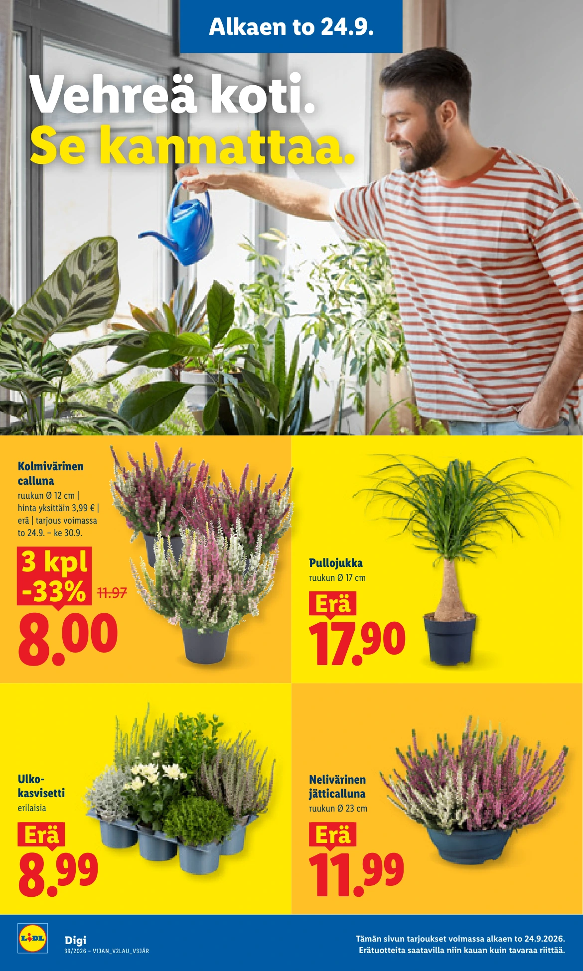 Flyer page 20
