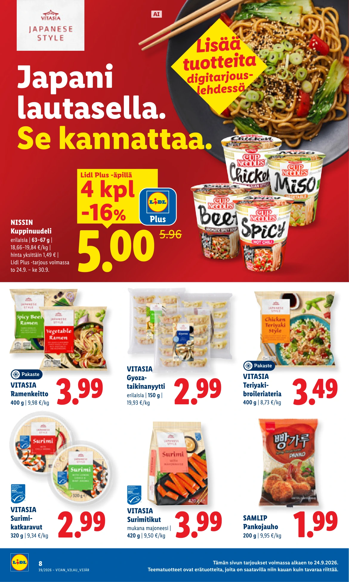 Flyer page 8