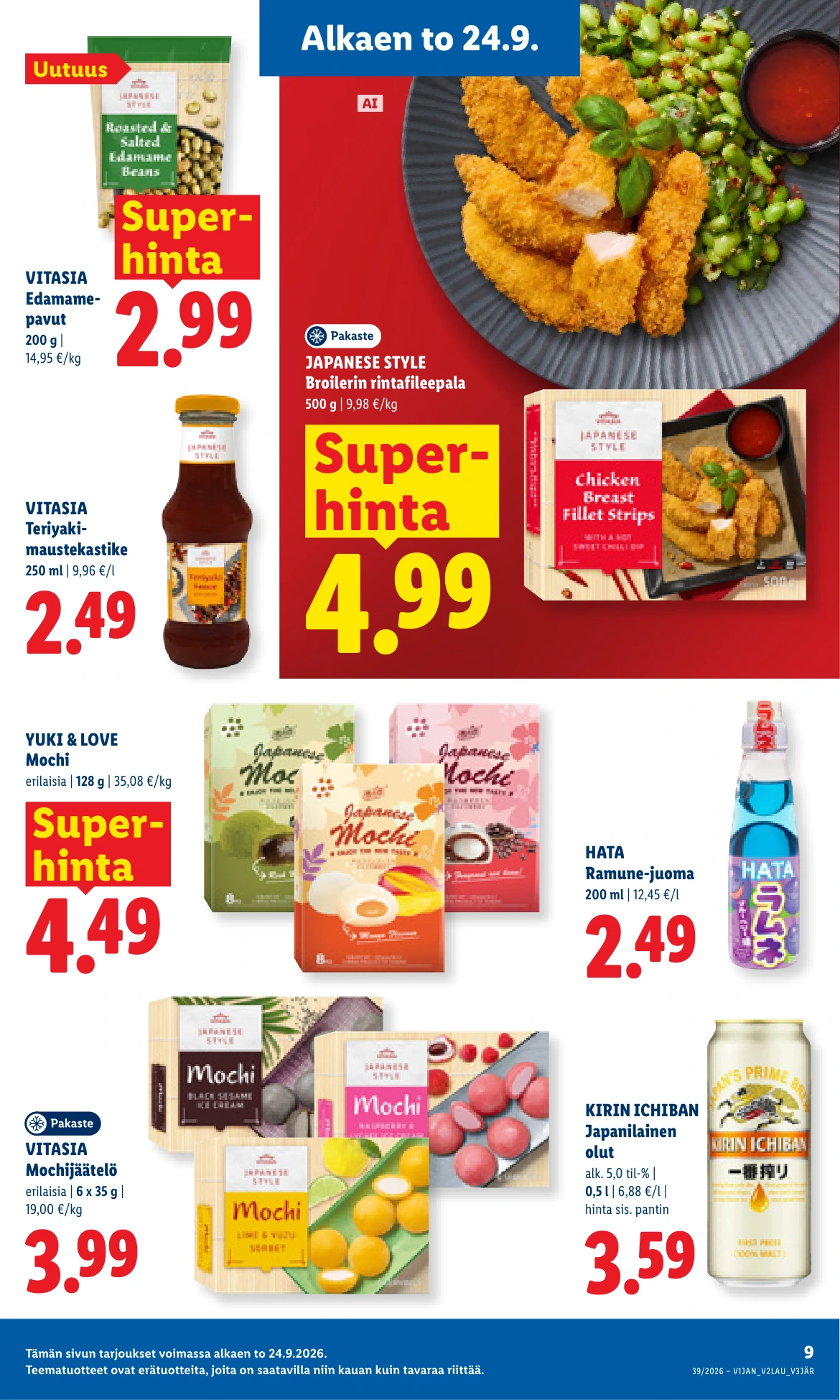 Flyer page 9