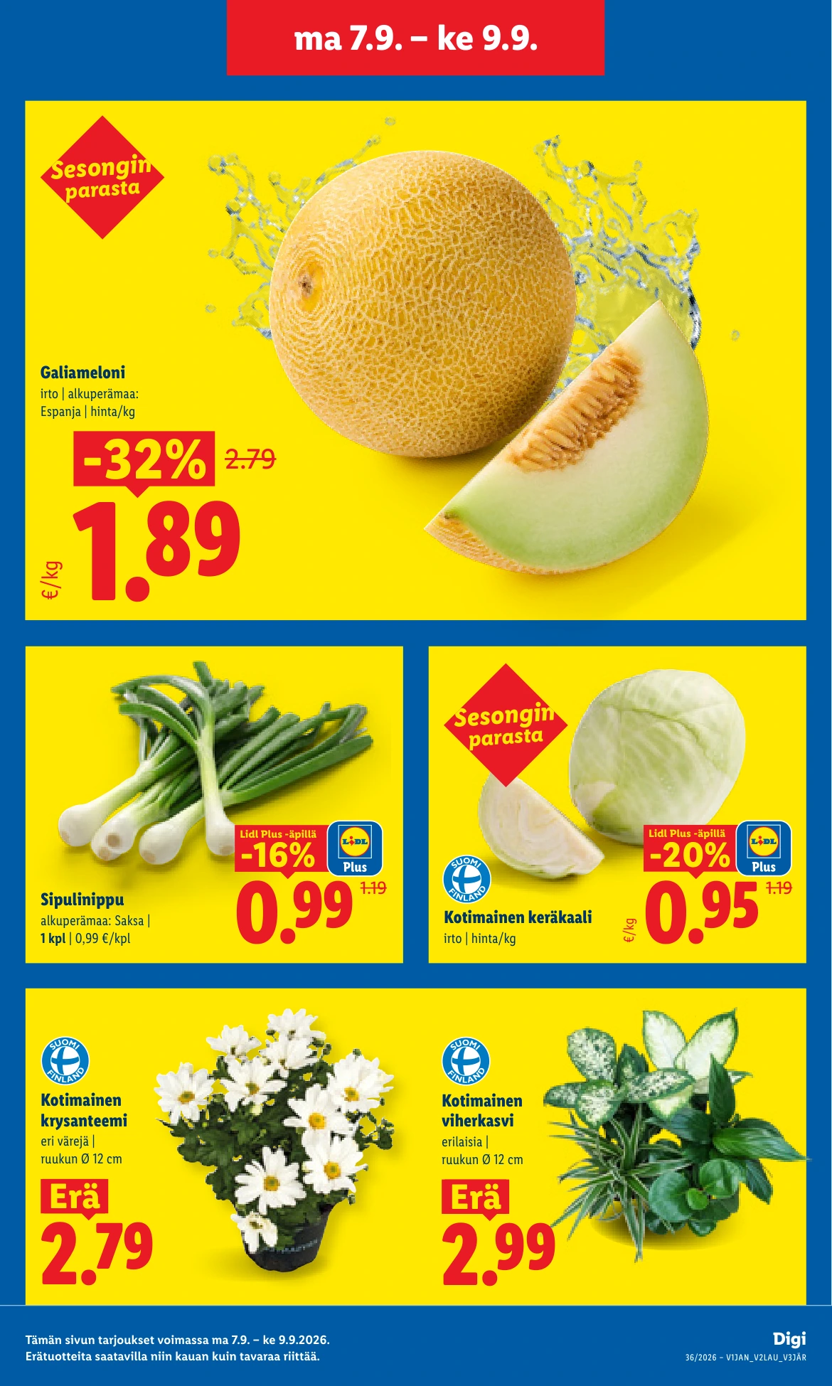 Flyer page 3
