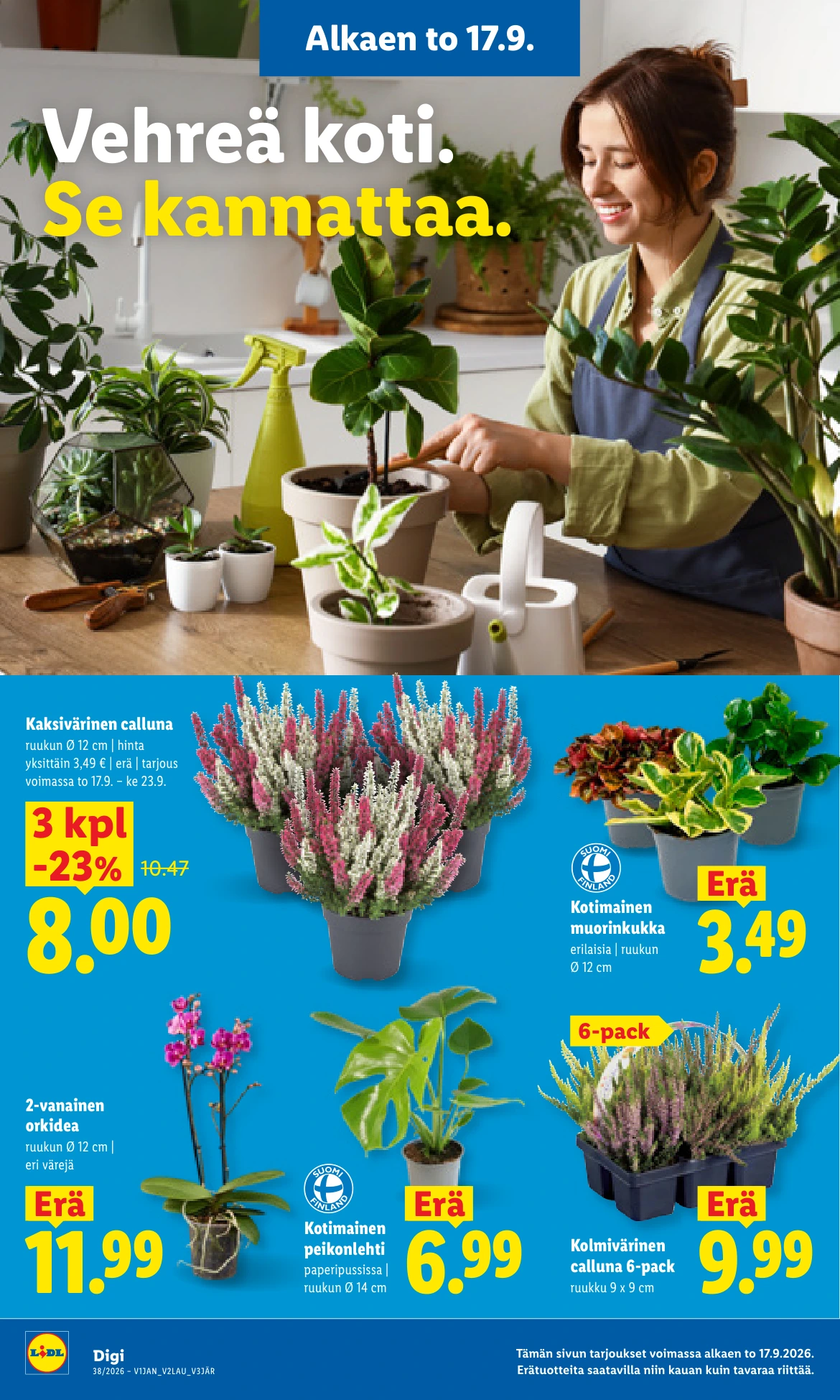 Flyer page 18