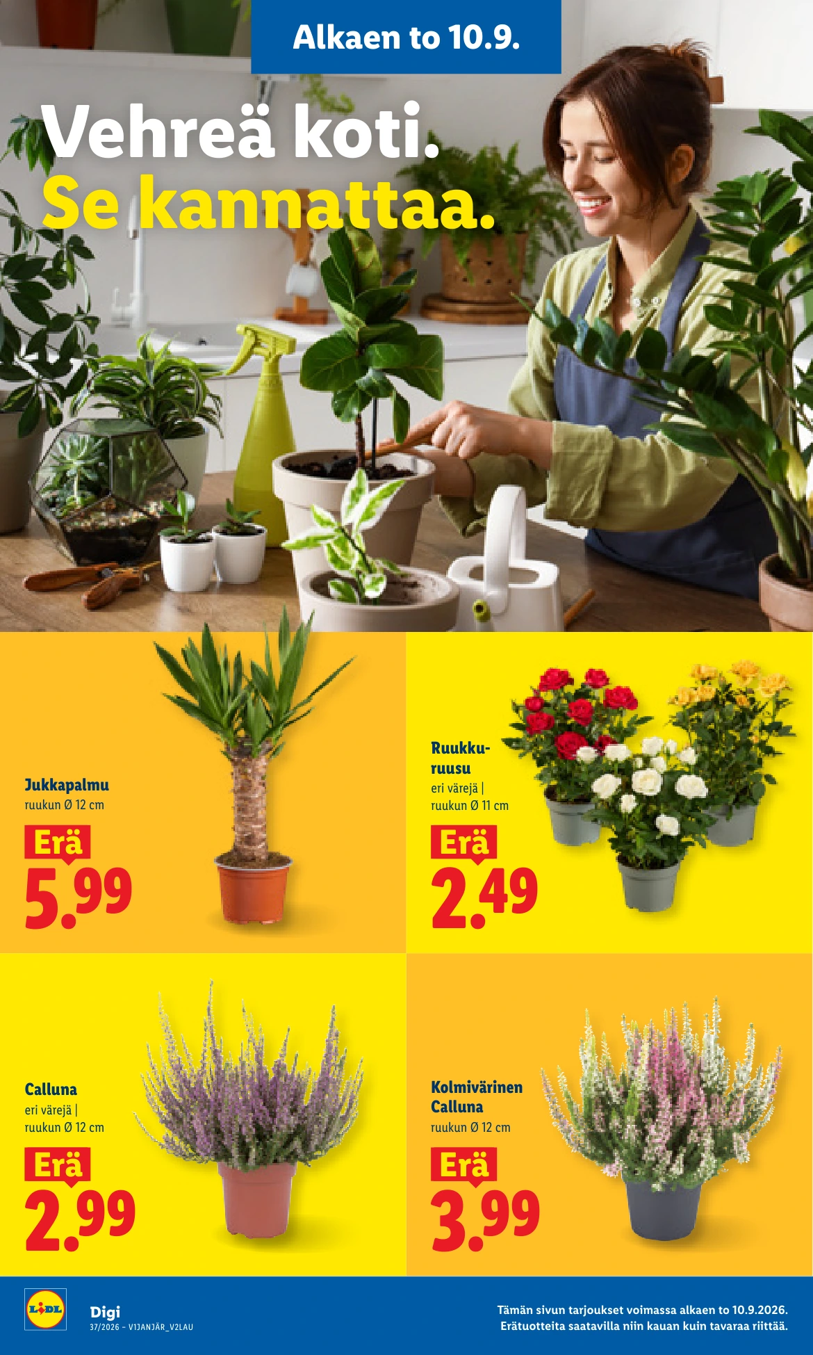 Flyer page 23