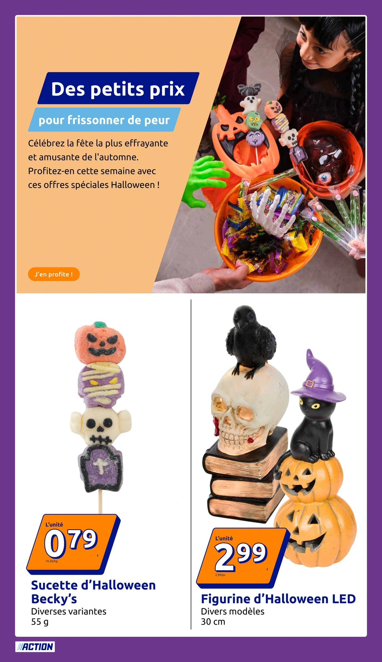 Flyer page 31