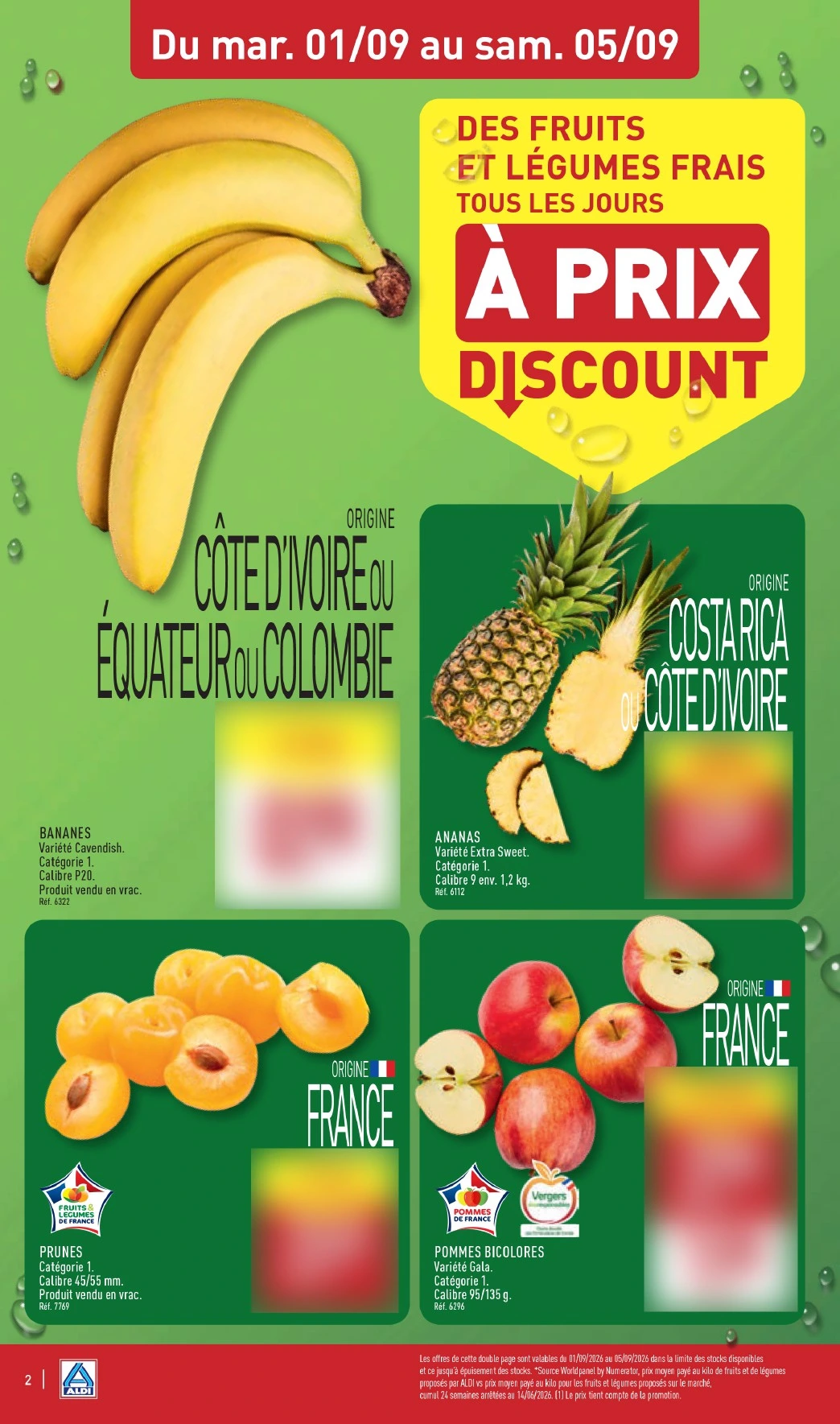 Flyer page 4