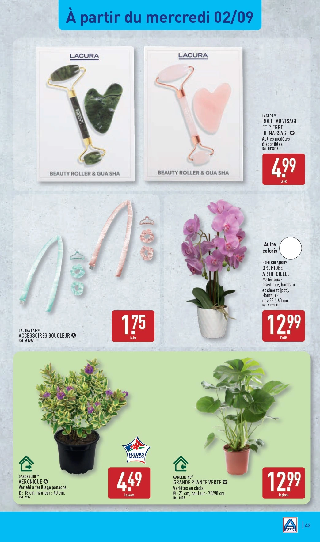 Flyer page 45