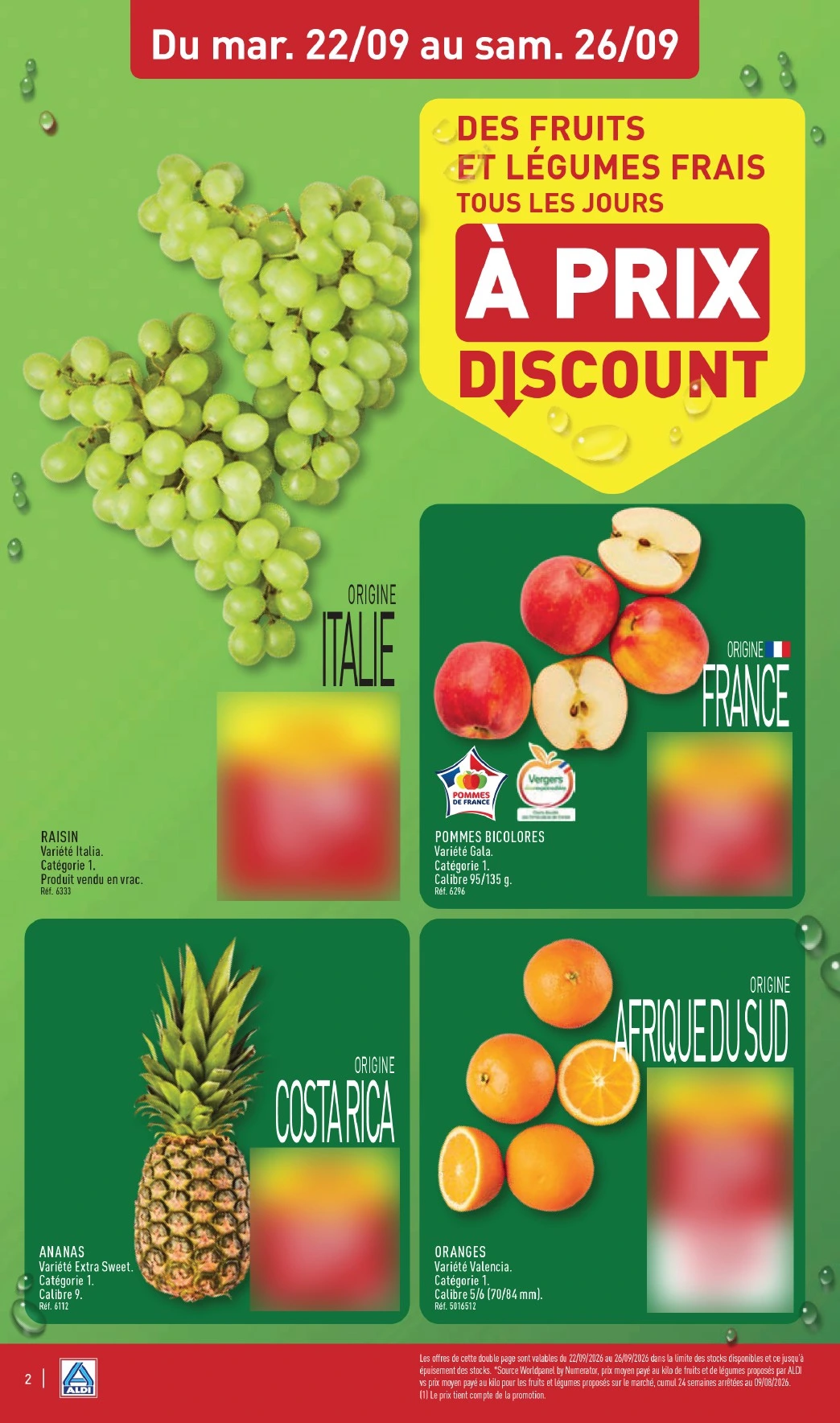 Flyer page 4