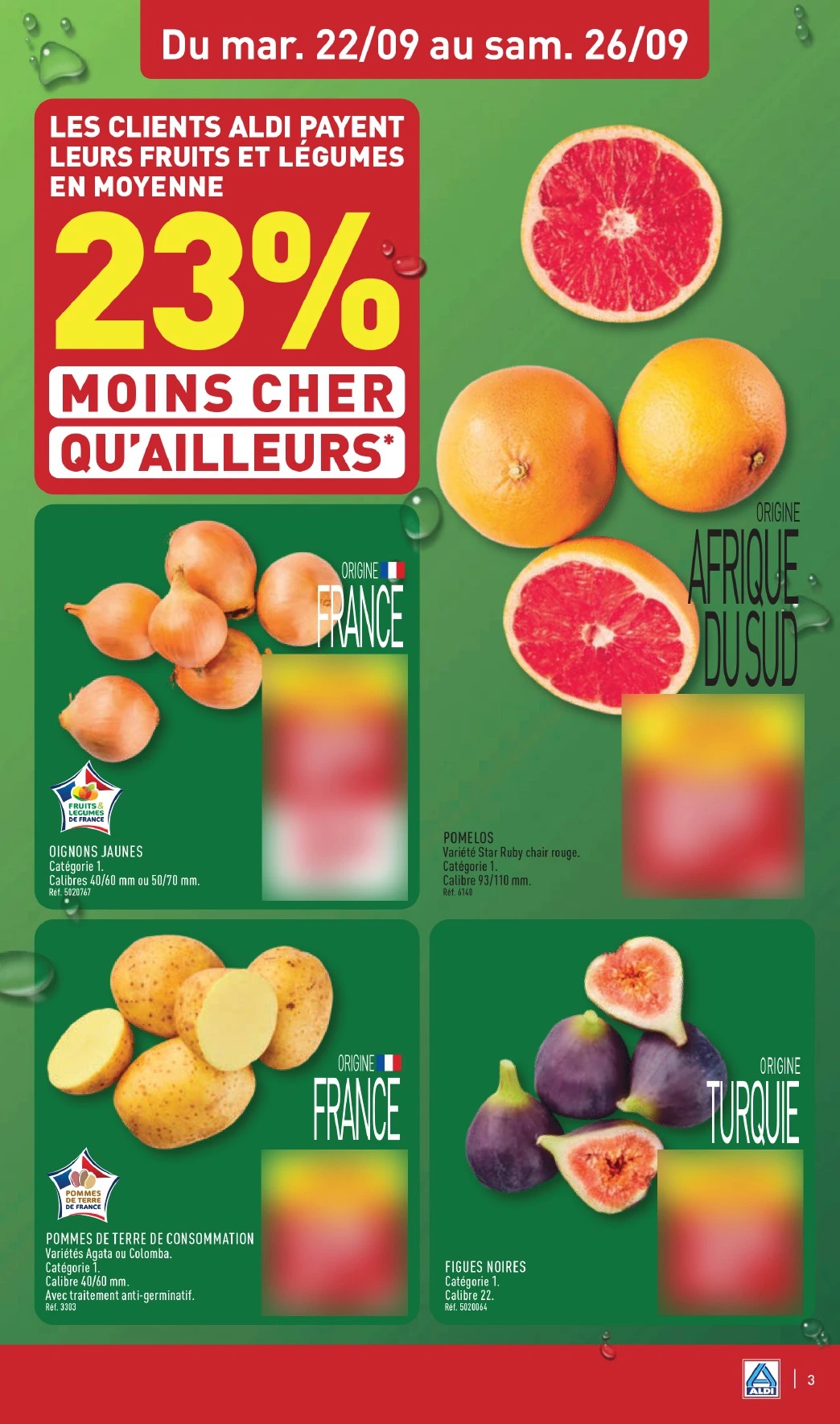 Flyer page 5
