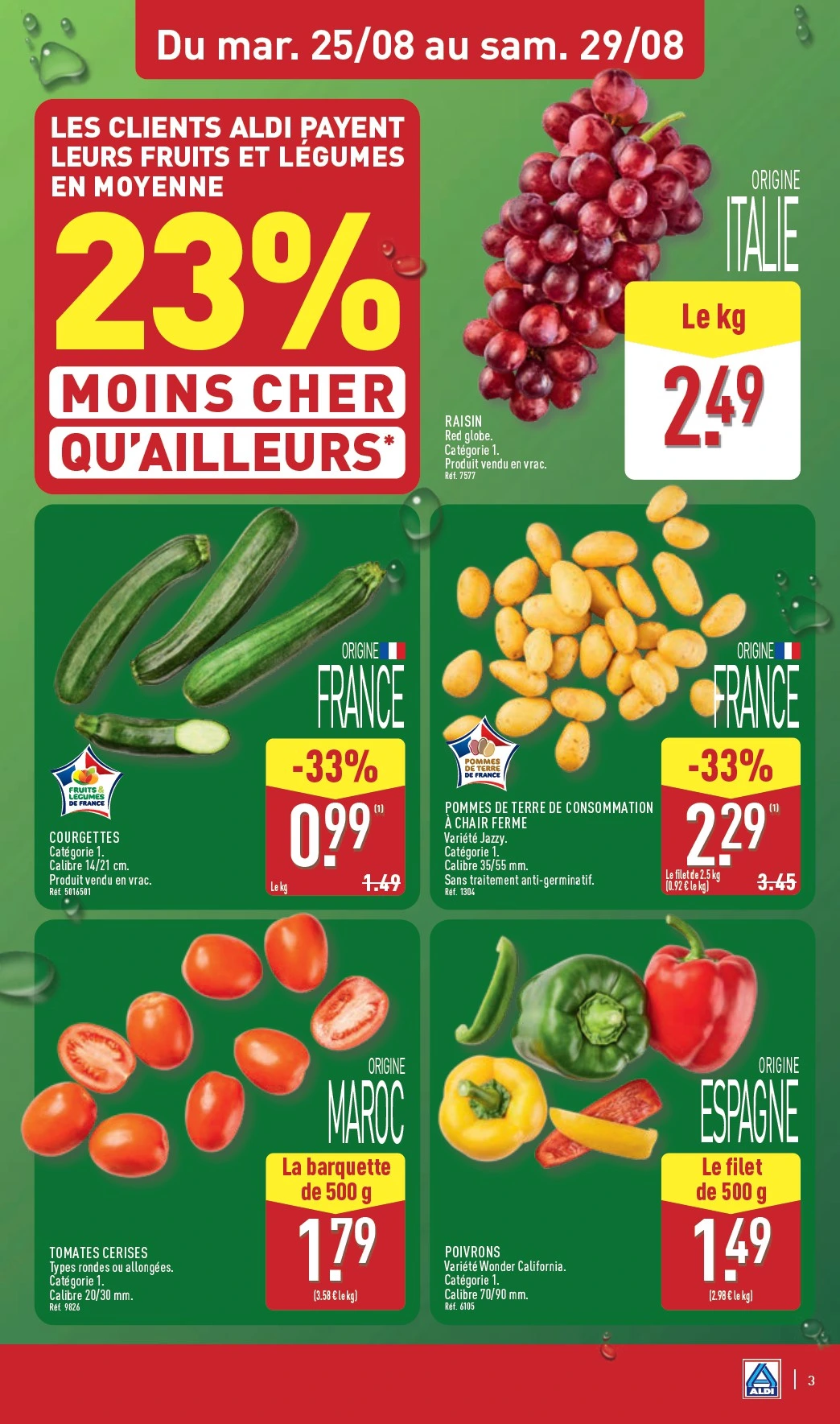Flyer page 5