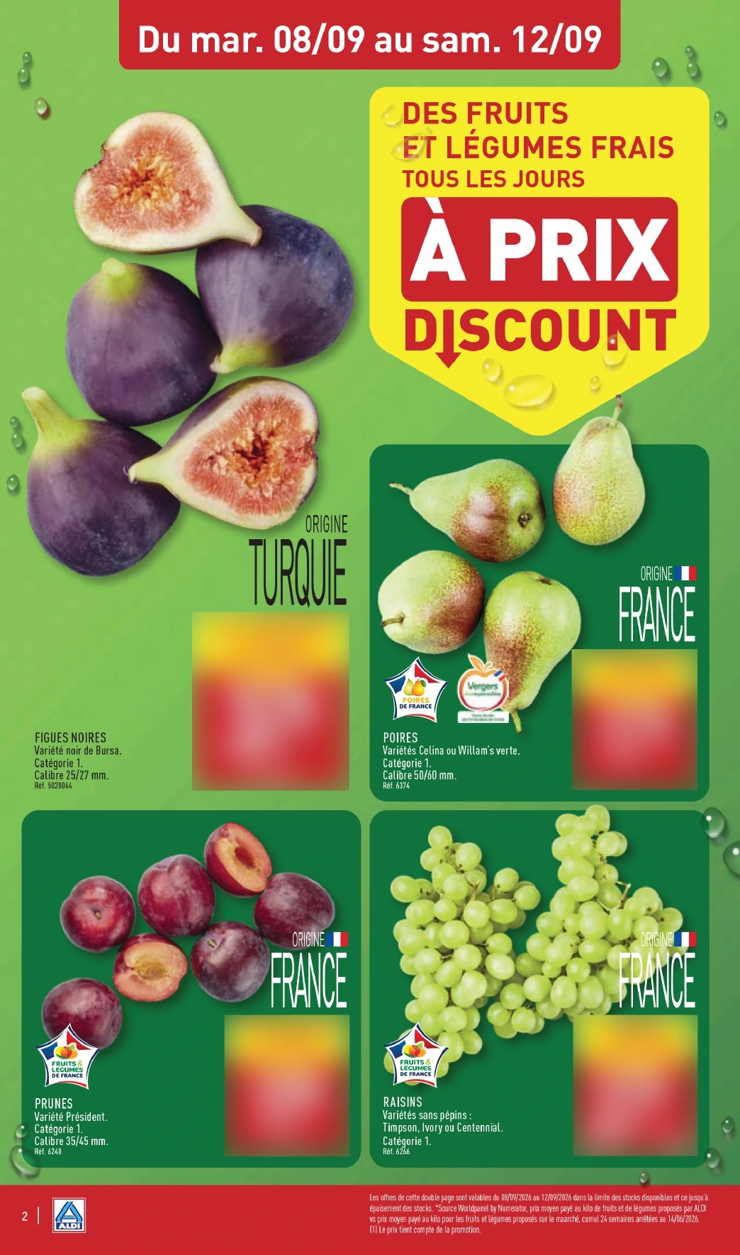 Flyer page 6