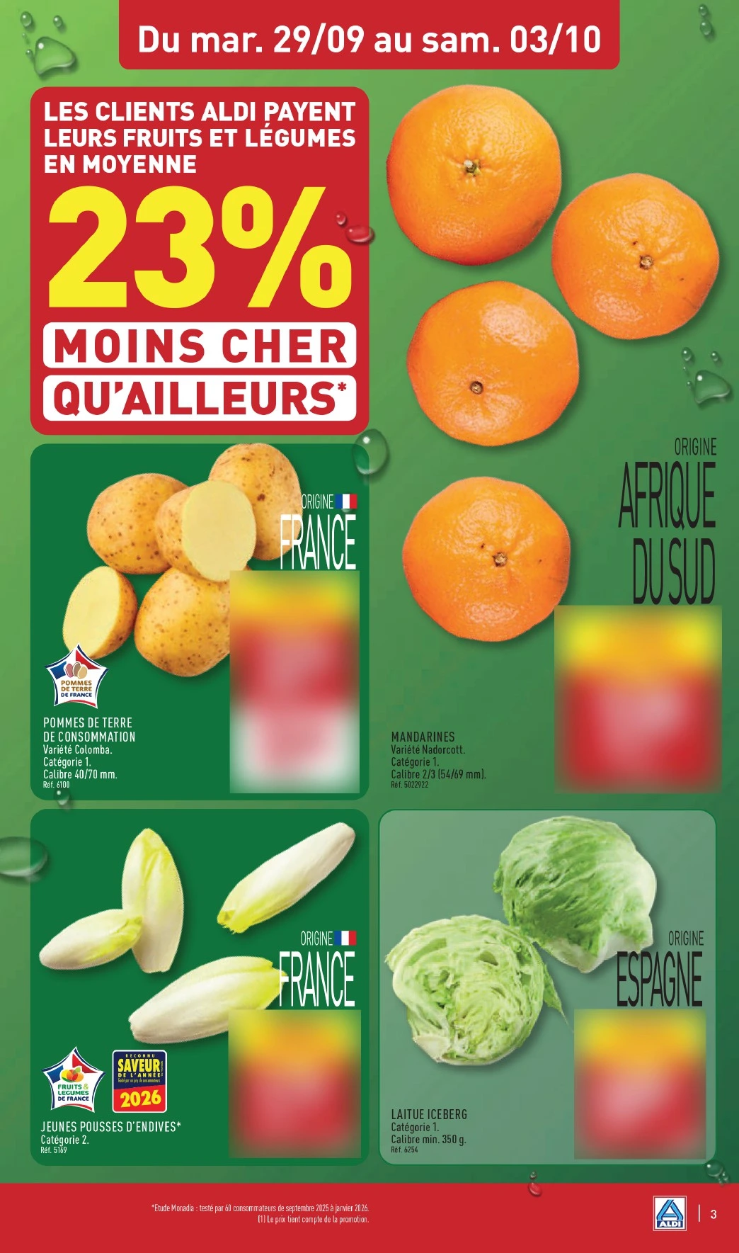 Flyer page 5