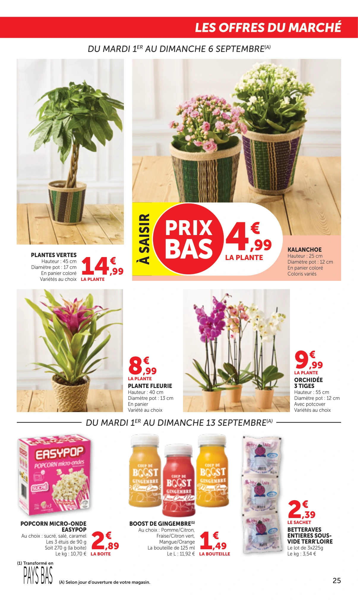 Flyer page 25