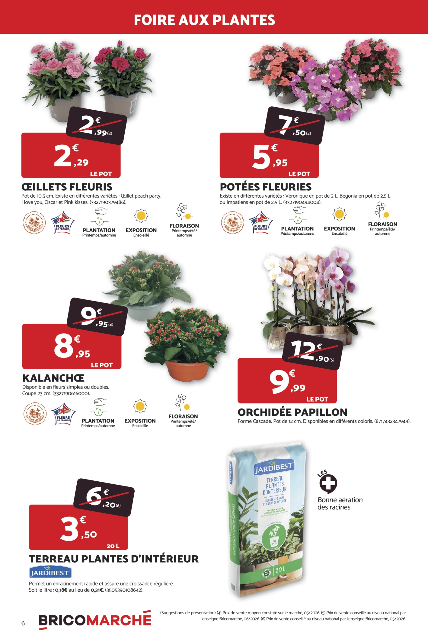Flyer page 6