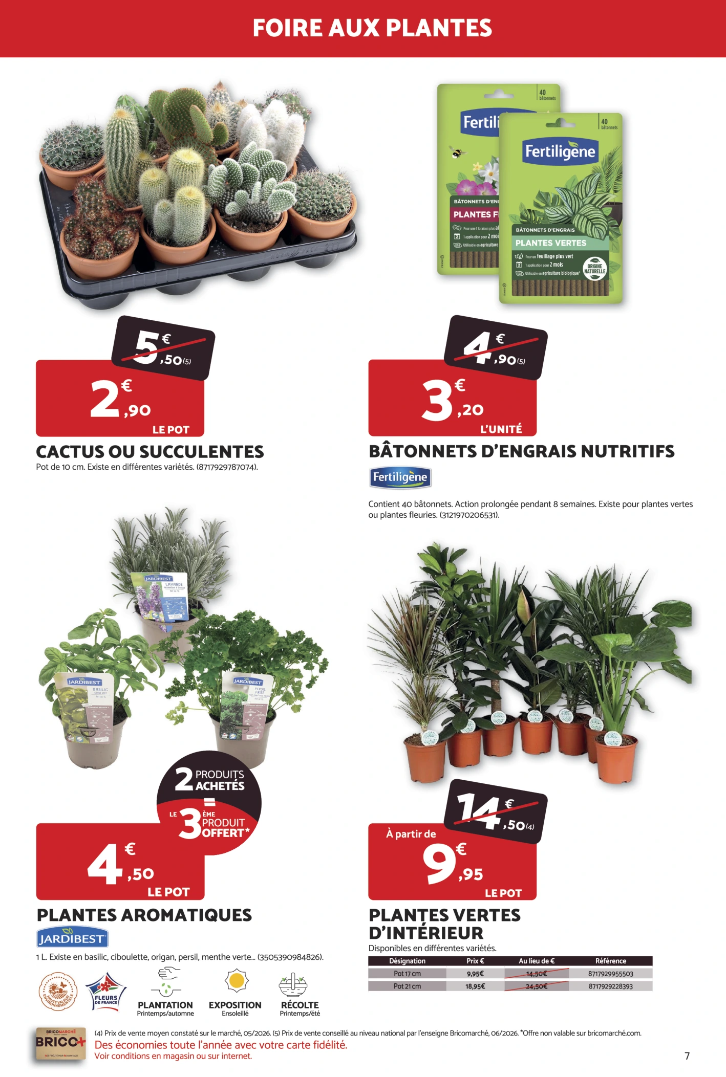 Flyer page 7