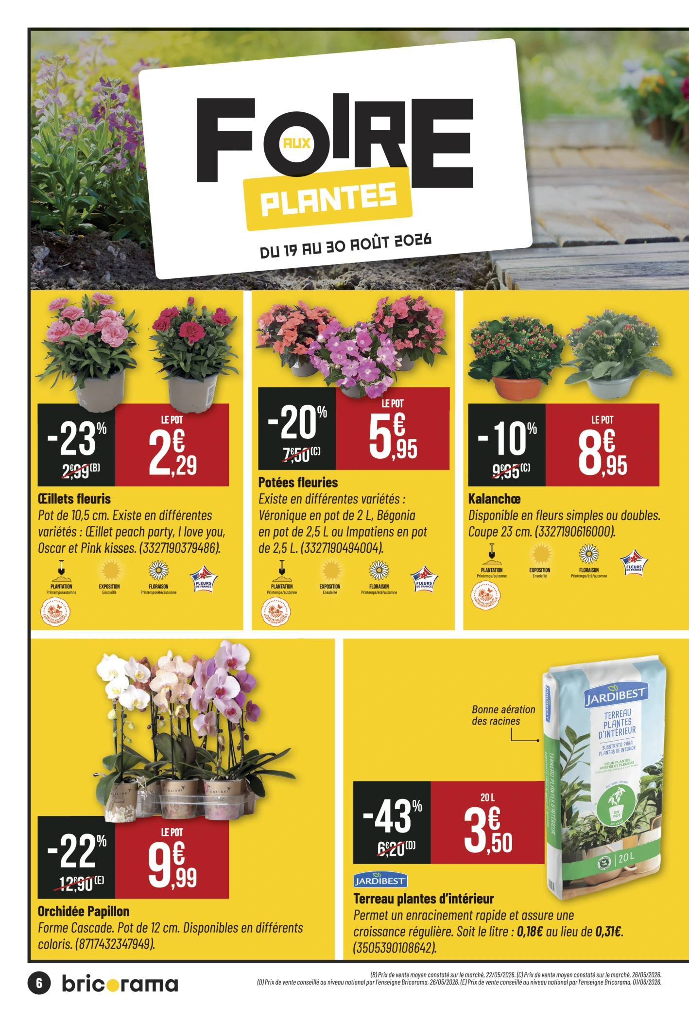 Flyer page 6