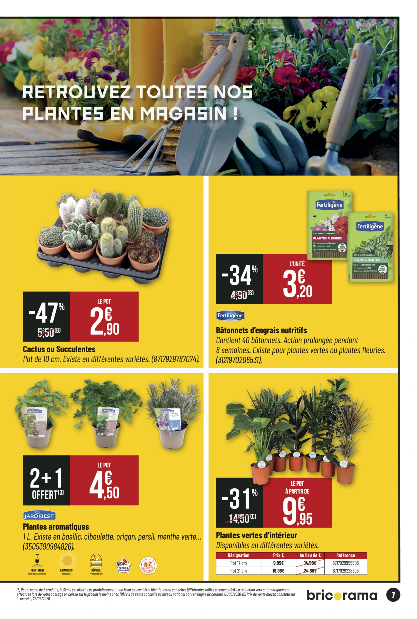 Flyer page 7