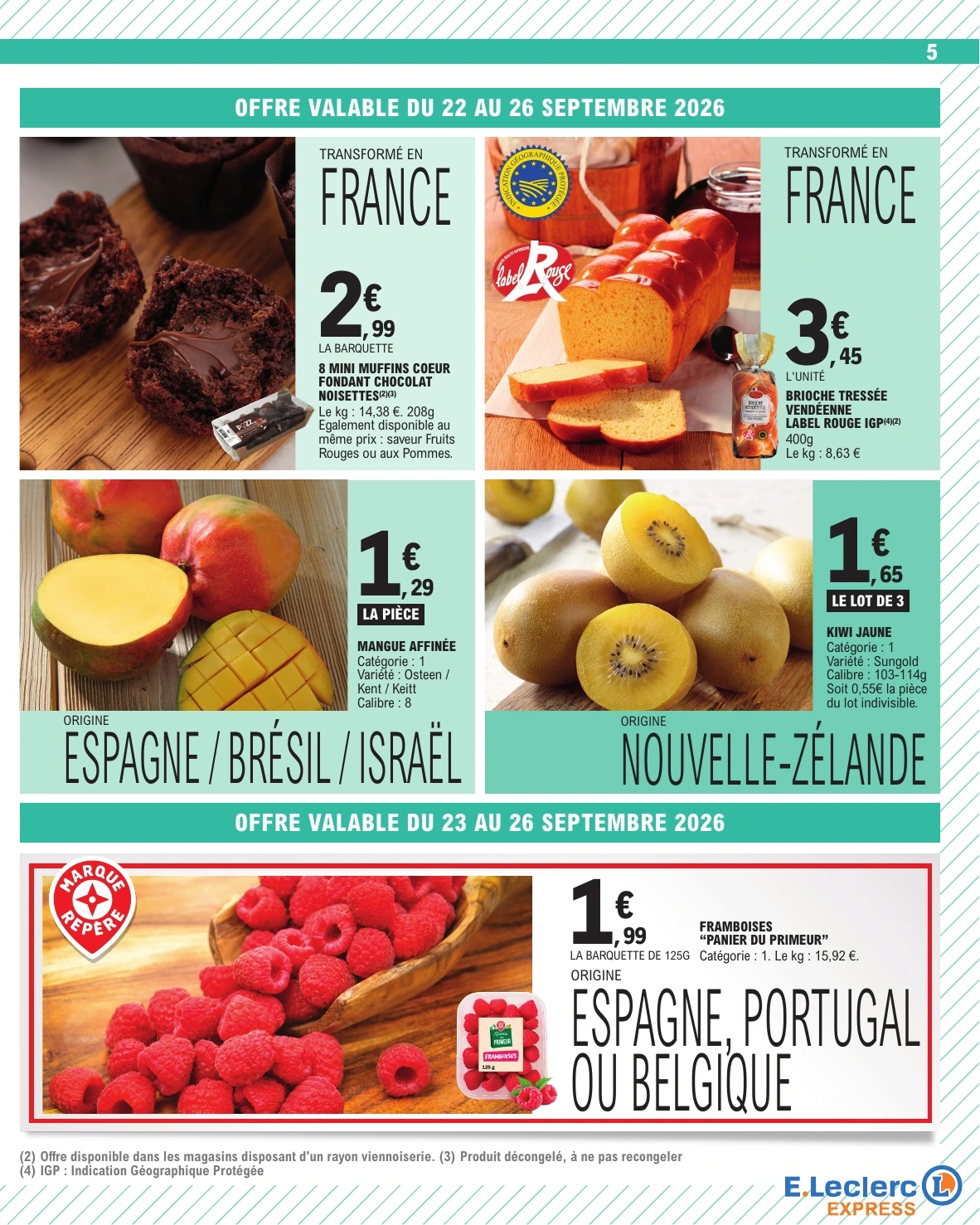 Flyer page 5
