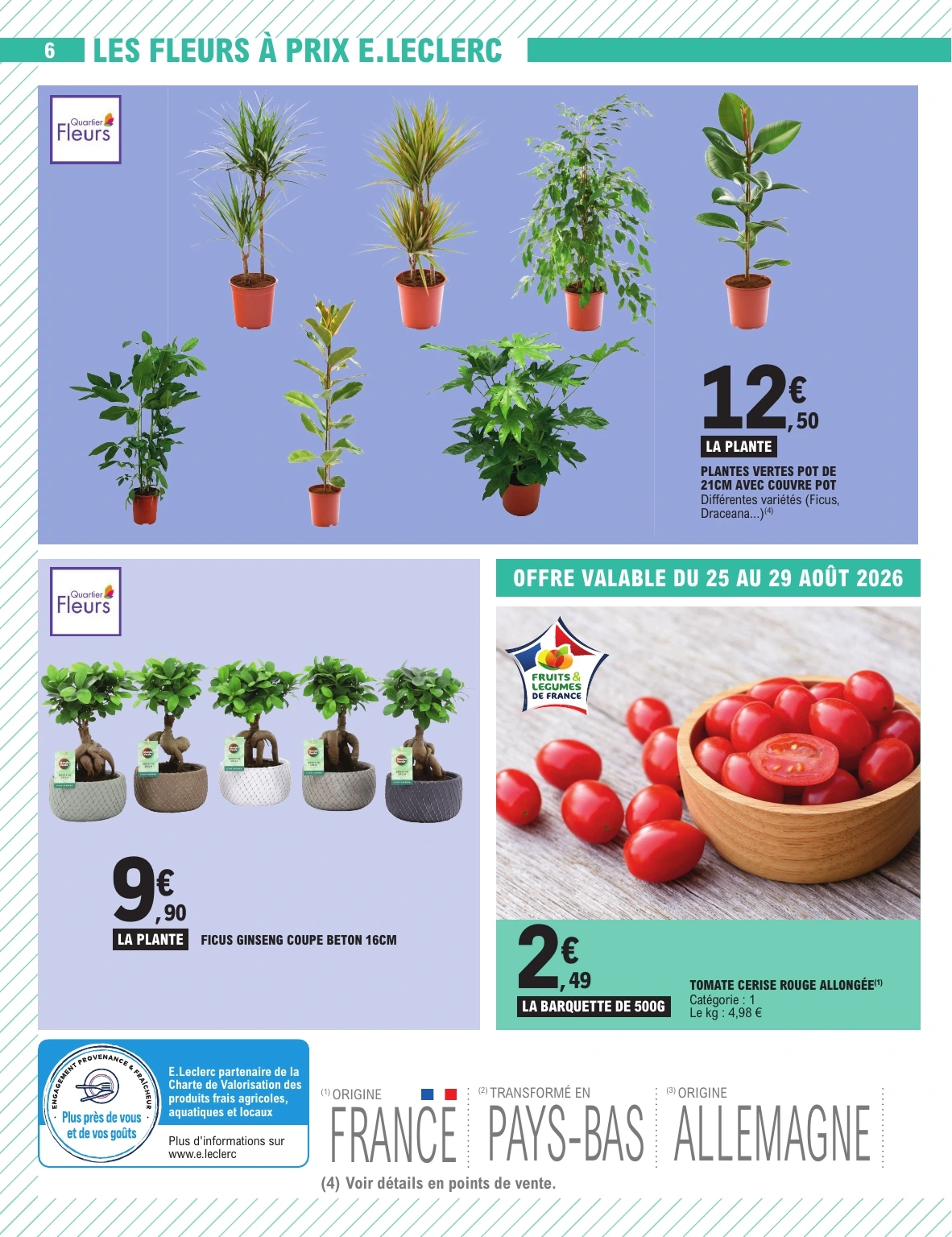 Flyer page 6