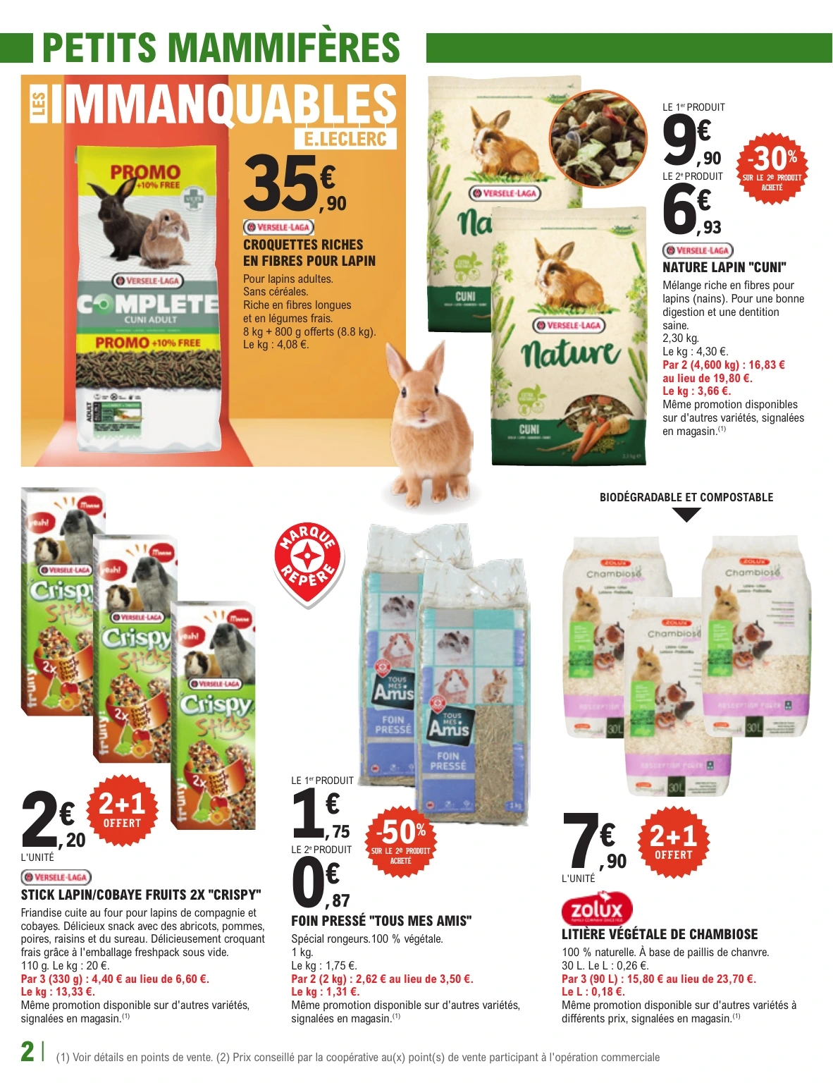 Flyer page 2