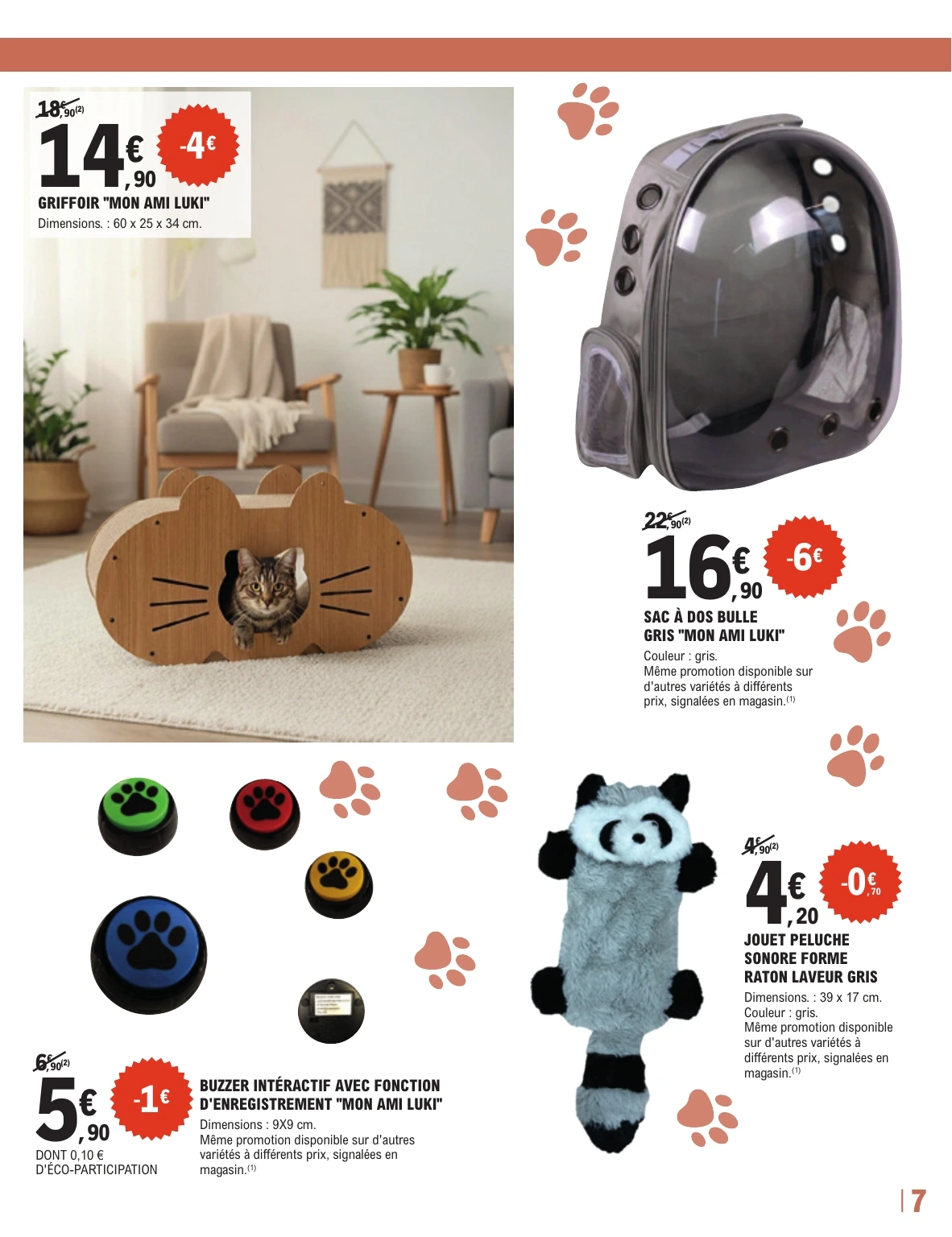 Flyer page 7