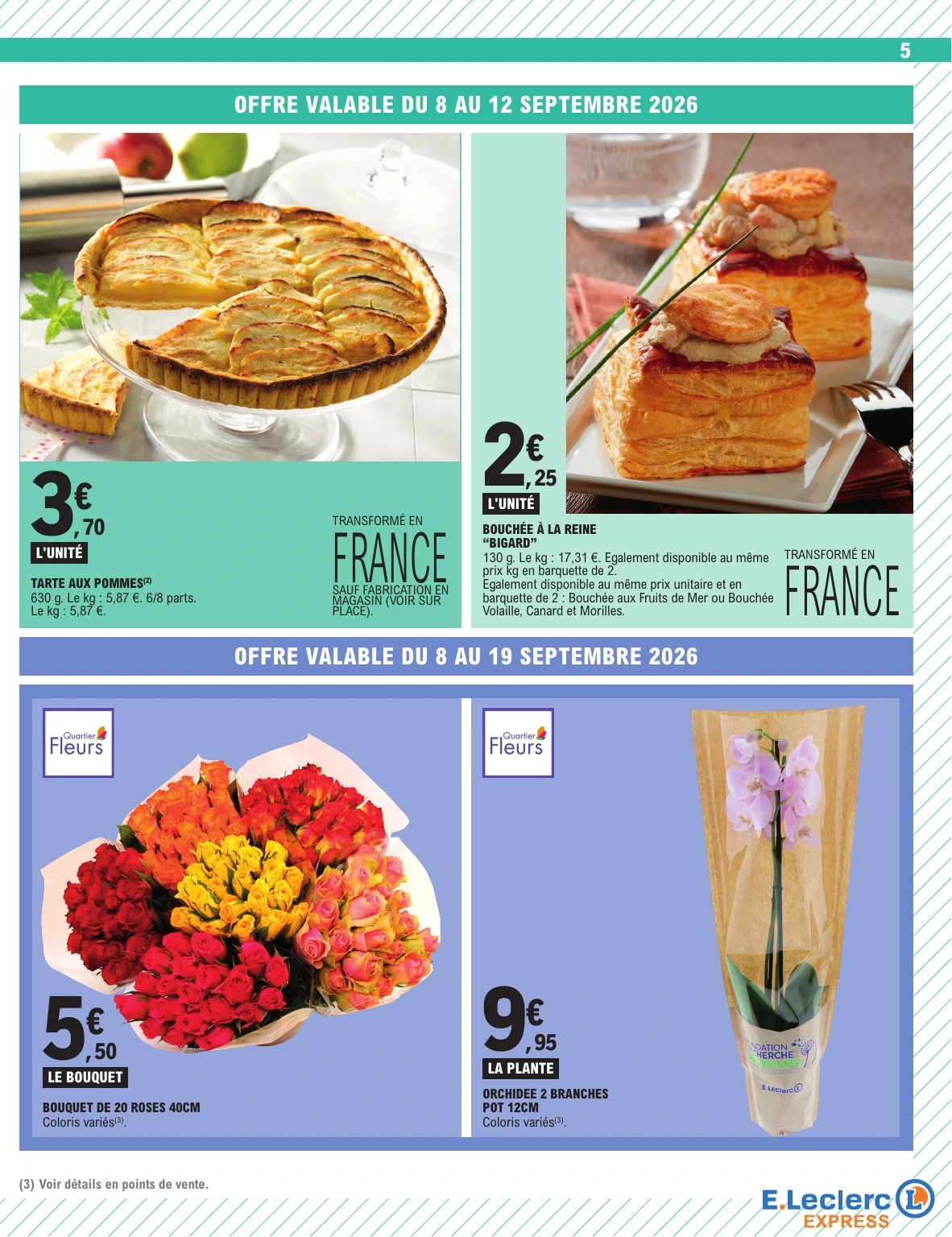 Flyer page 5