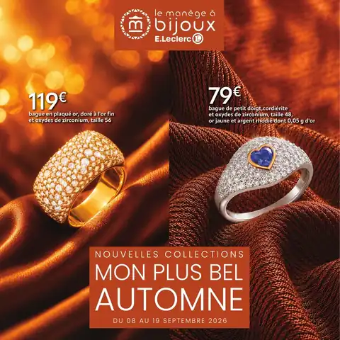MON PLUS BEL AUTOMNE