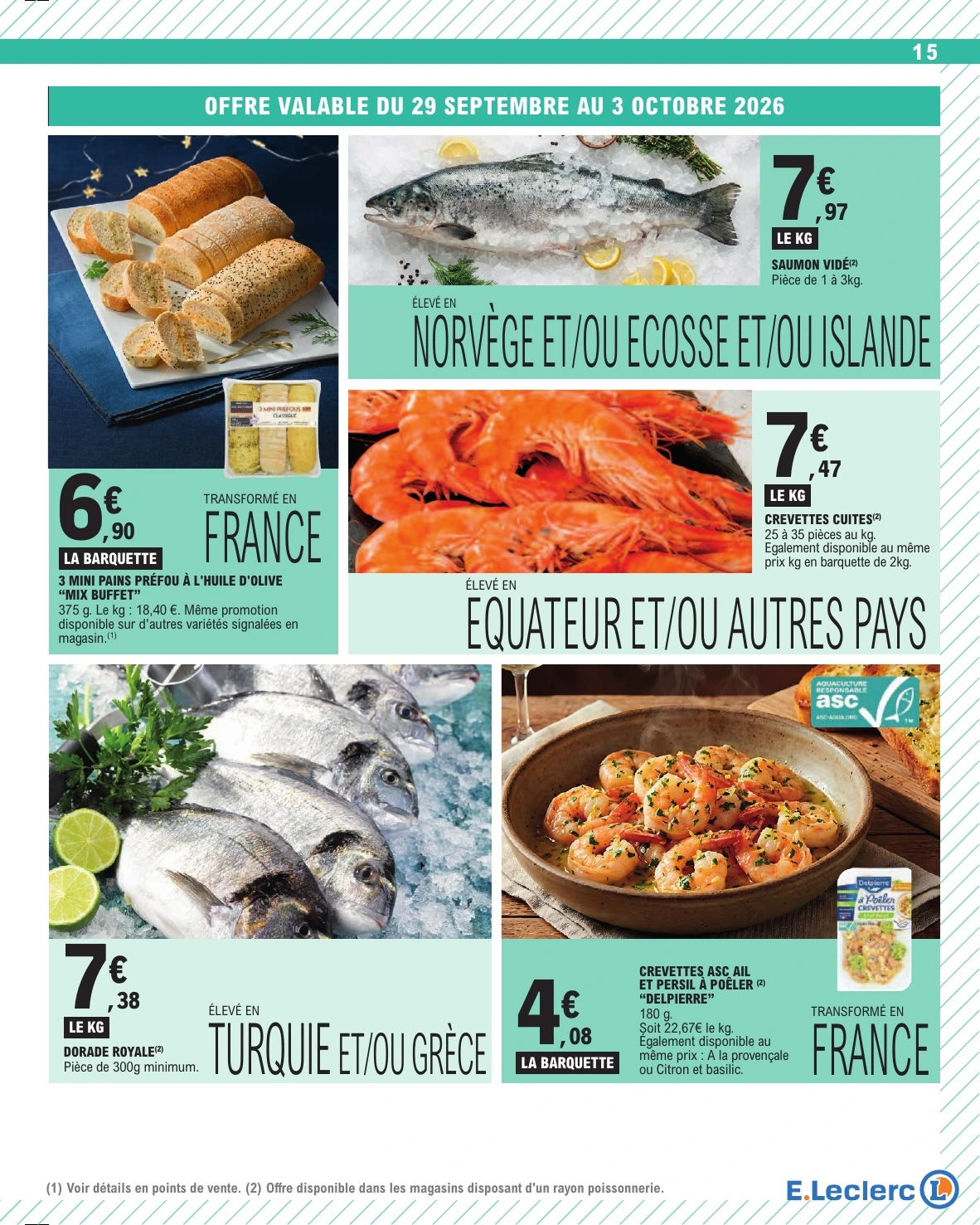 Flyer page 15
