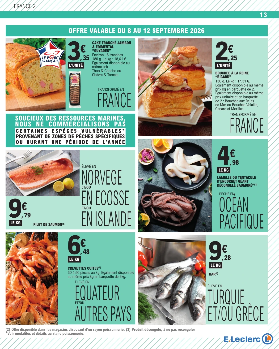 Flyer page 13