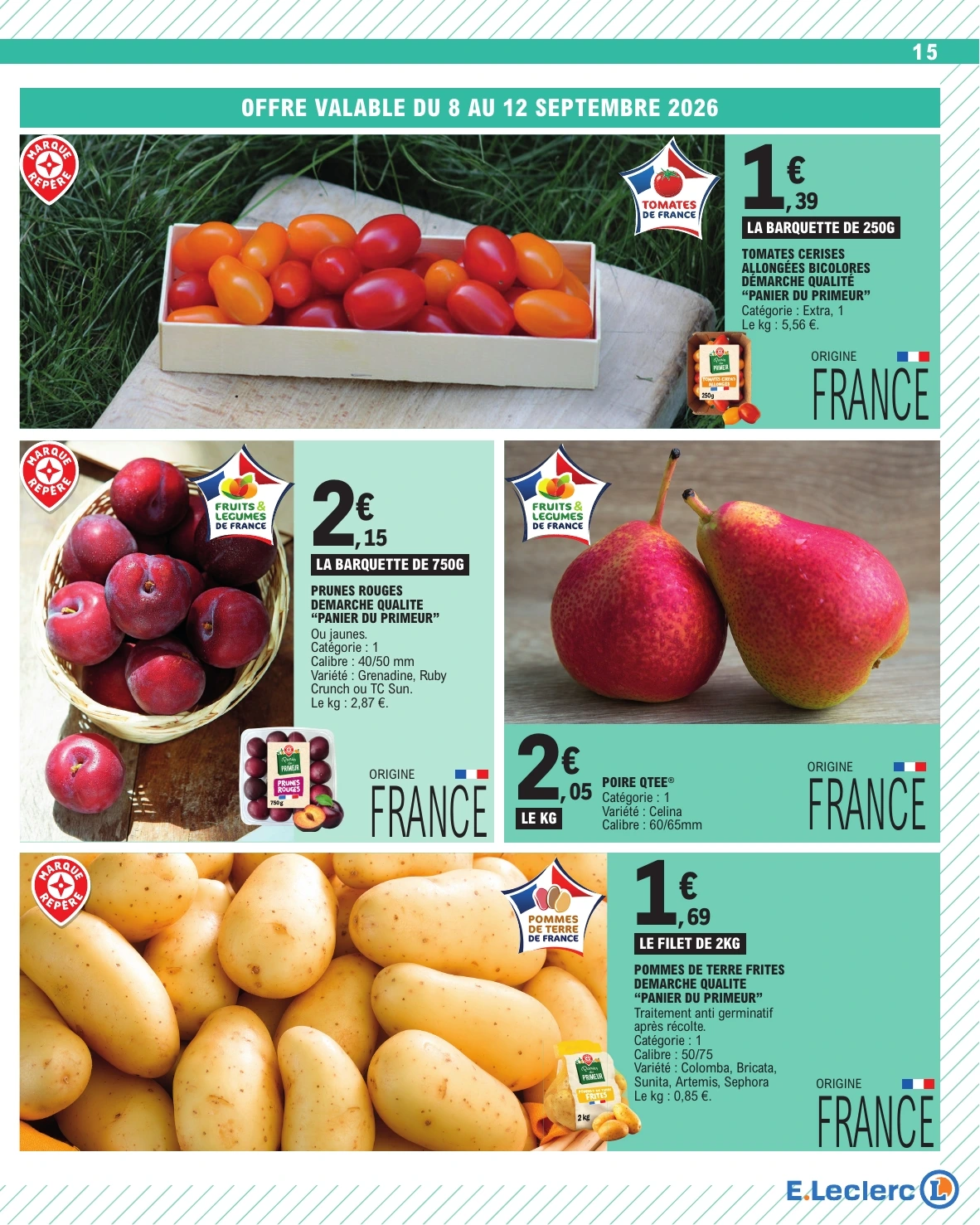 Flyer page 15