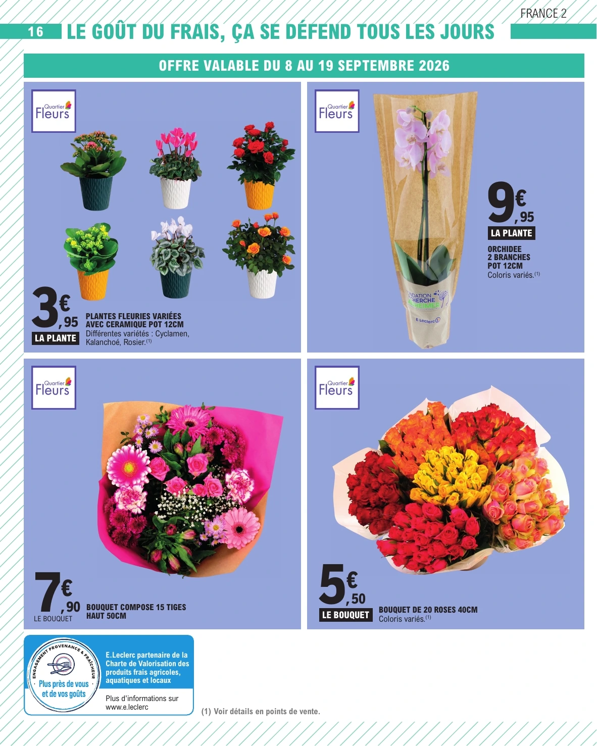 Flyer page 16