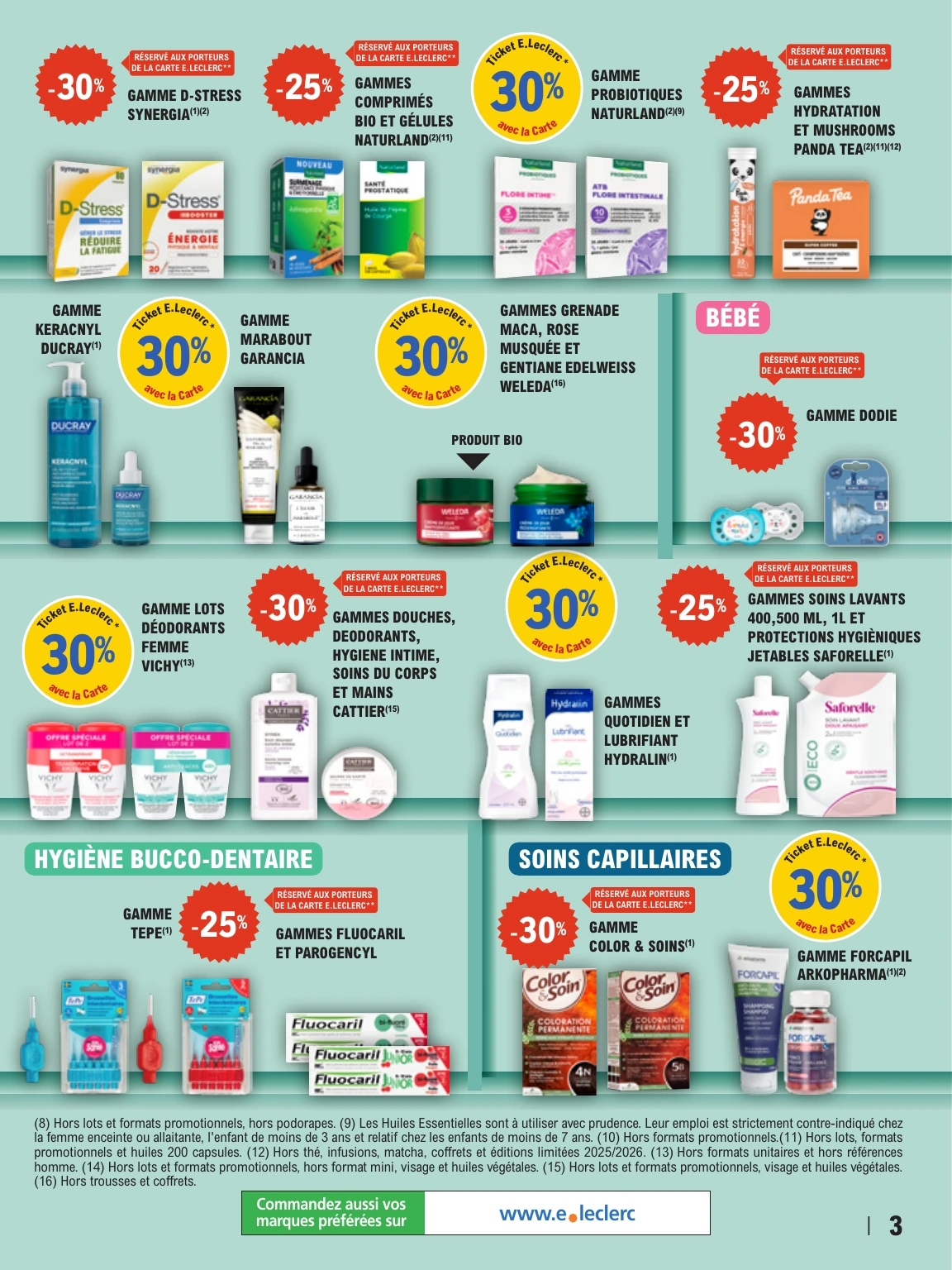 Flyer page 3