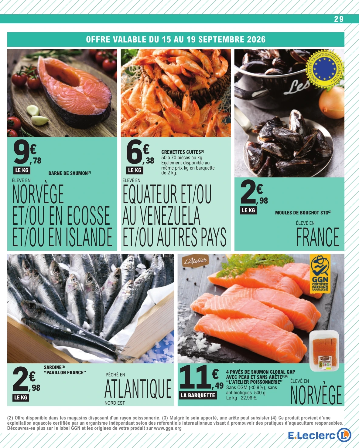 Flyer page 29