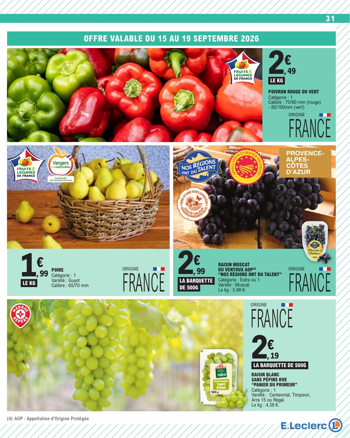Flyer page 31