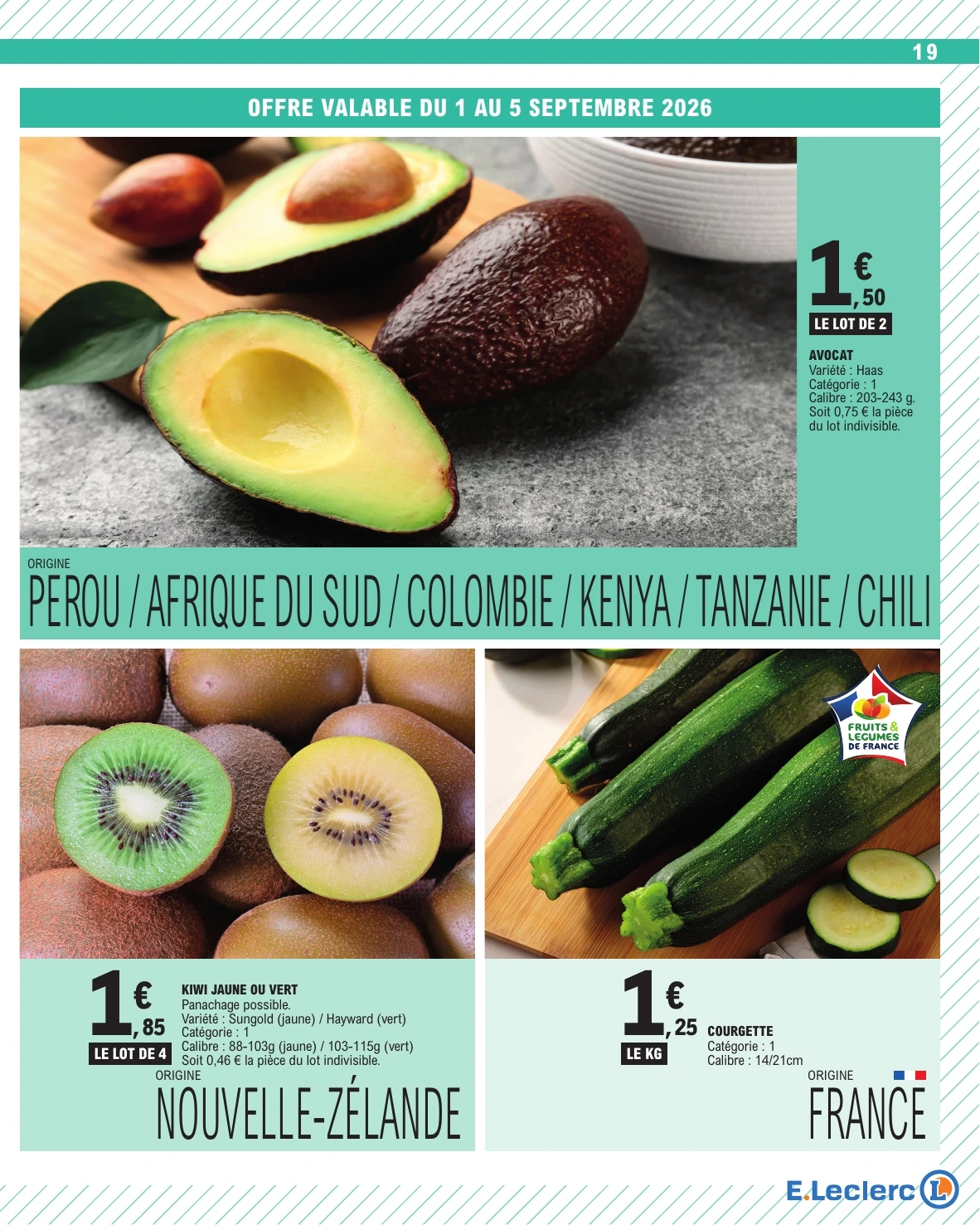 Flyer page 19