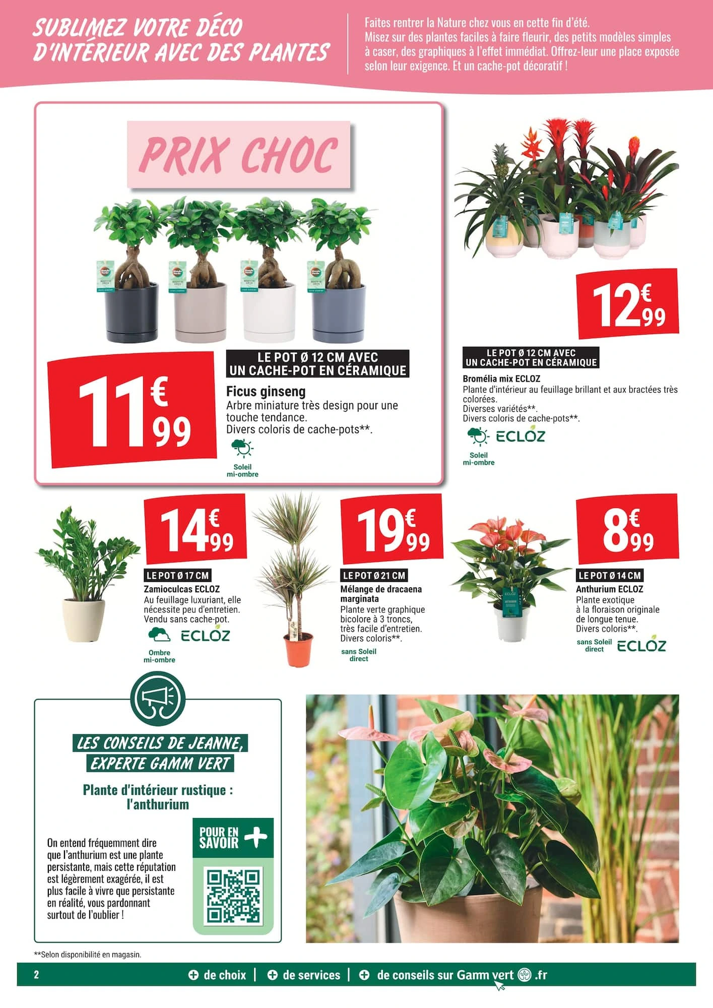 Flyer page 2
