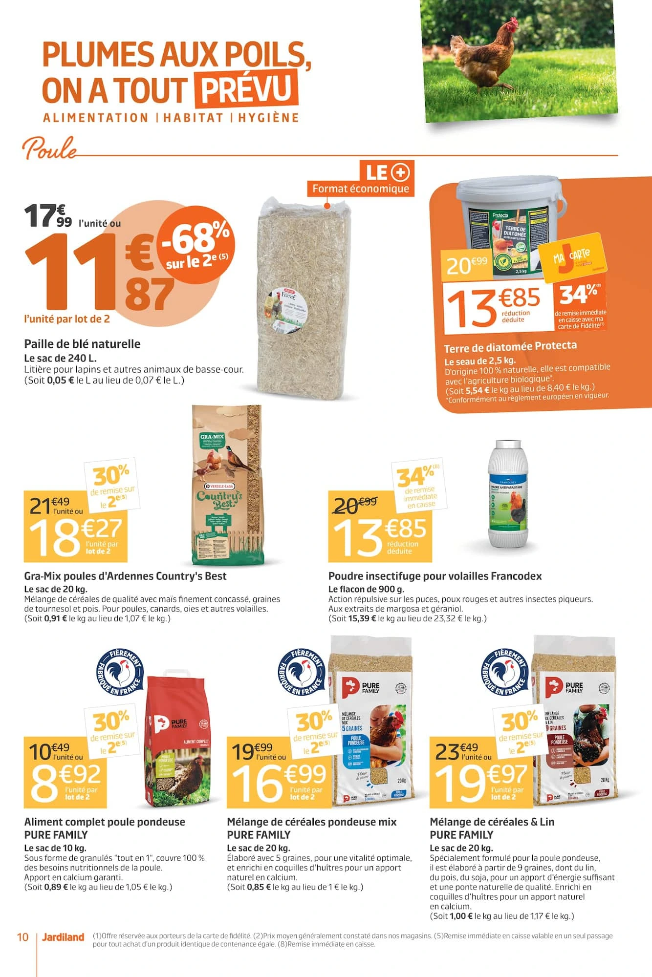 Flyer page 10