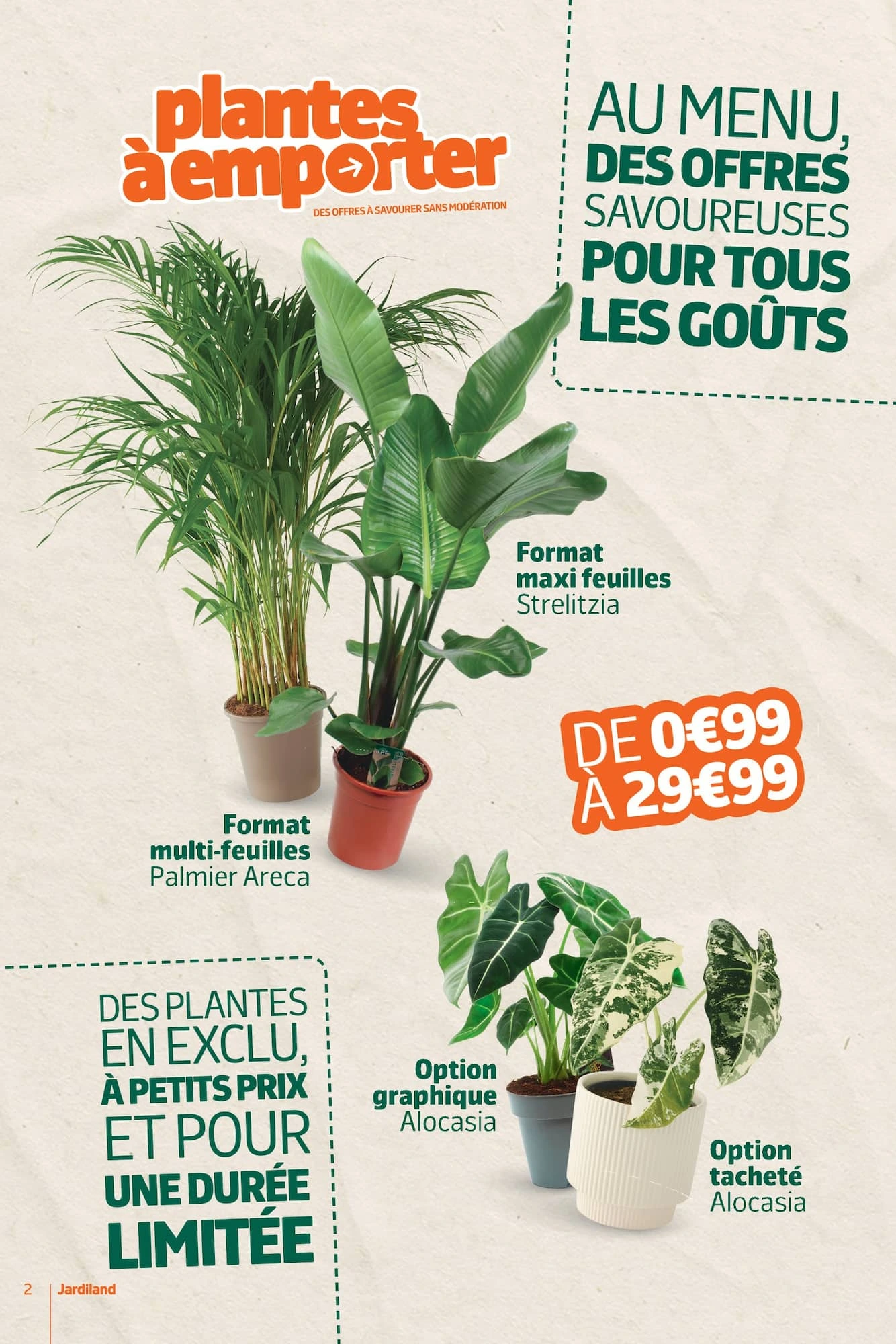 Flyer page 2