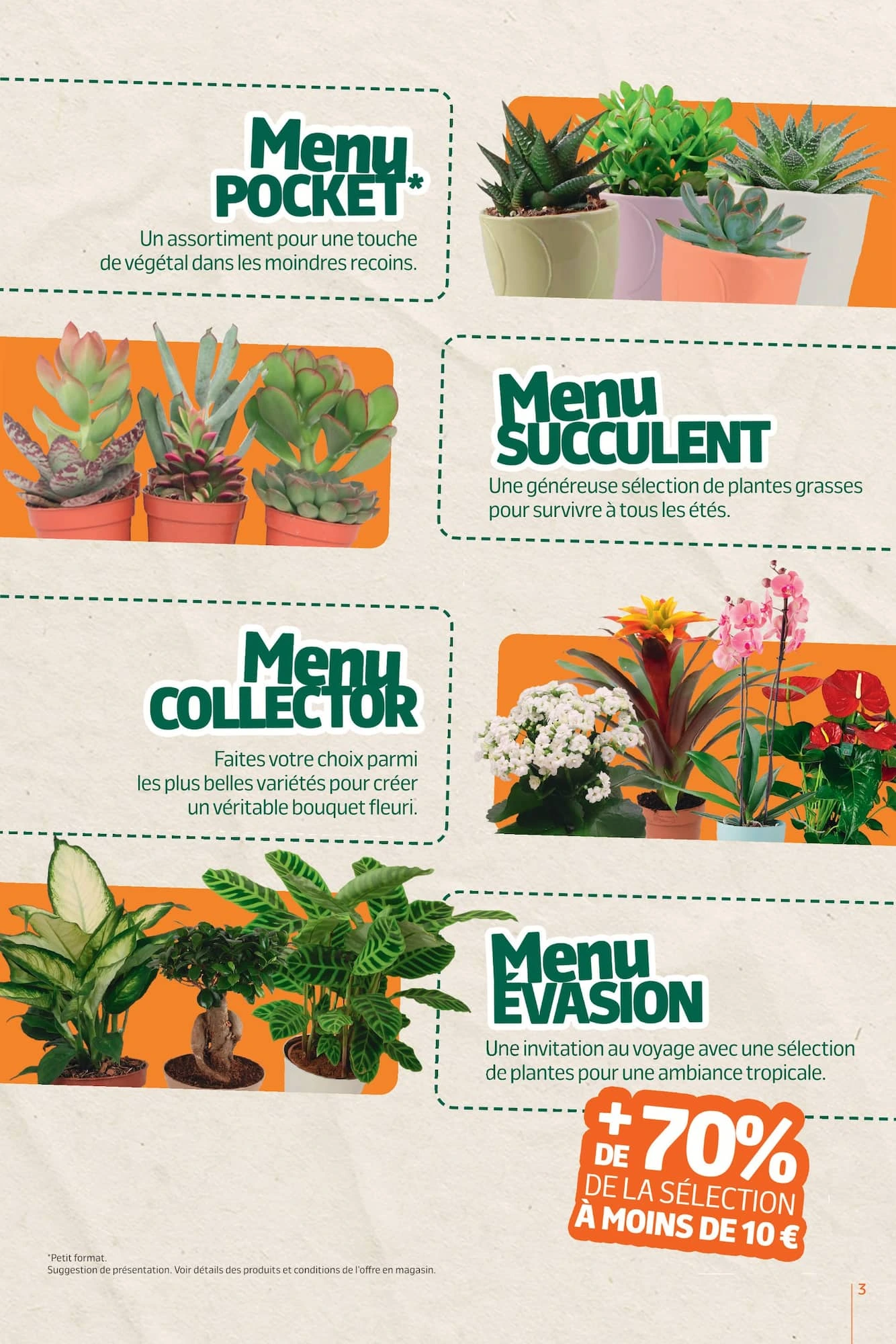 Flyer page 3